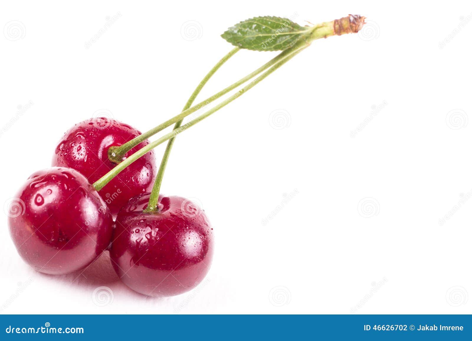Sour cherries on white stock photo. Image of ripe, dessert - 46626702