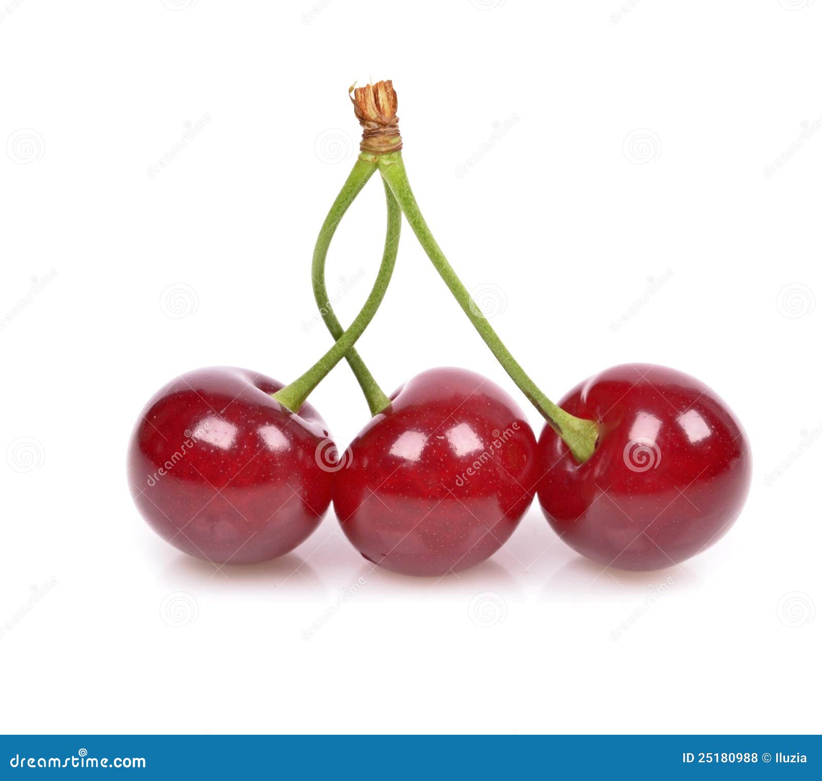 Sour cherry stock photo. Image of closeup, dark, delicious - 25180988