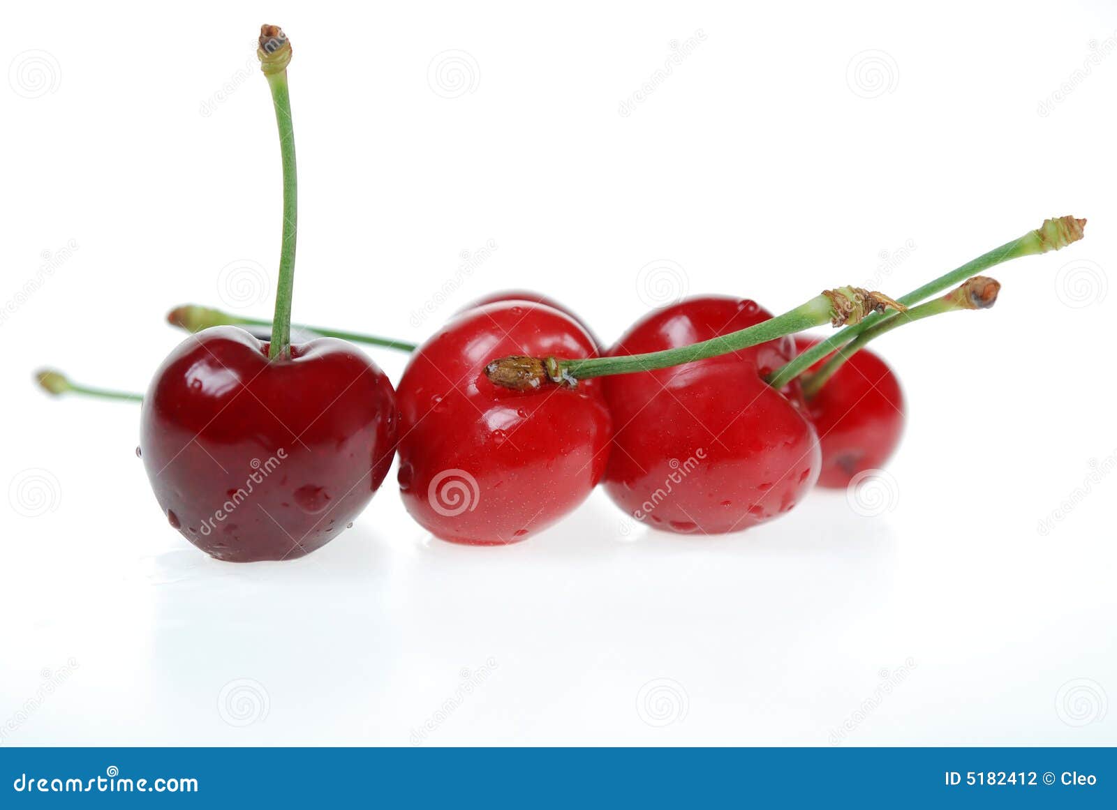 Sour Cherry stock photo. Image of diet, sour, fruit, fresh - 5182412