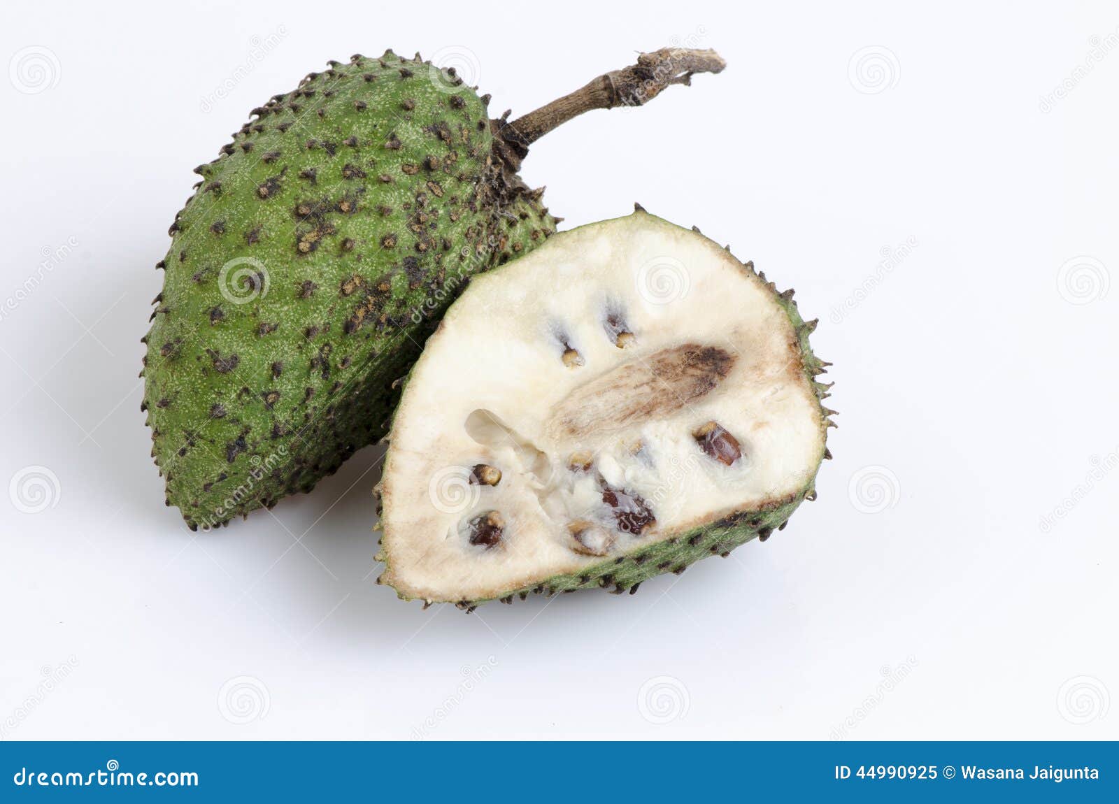 105 Guyabano Tree Photos Free Royalty Free Stock Photos From Dreamstime 105 Guyabano Tree Photos Free Royalty Free Stock Photos From Dreamstime