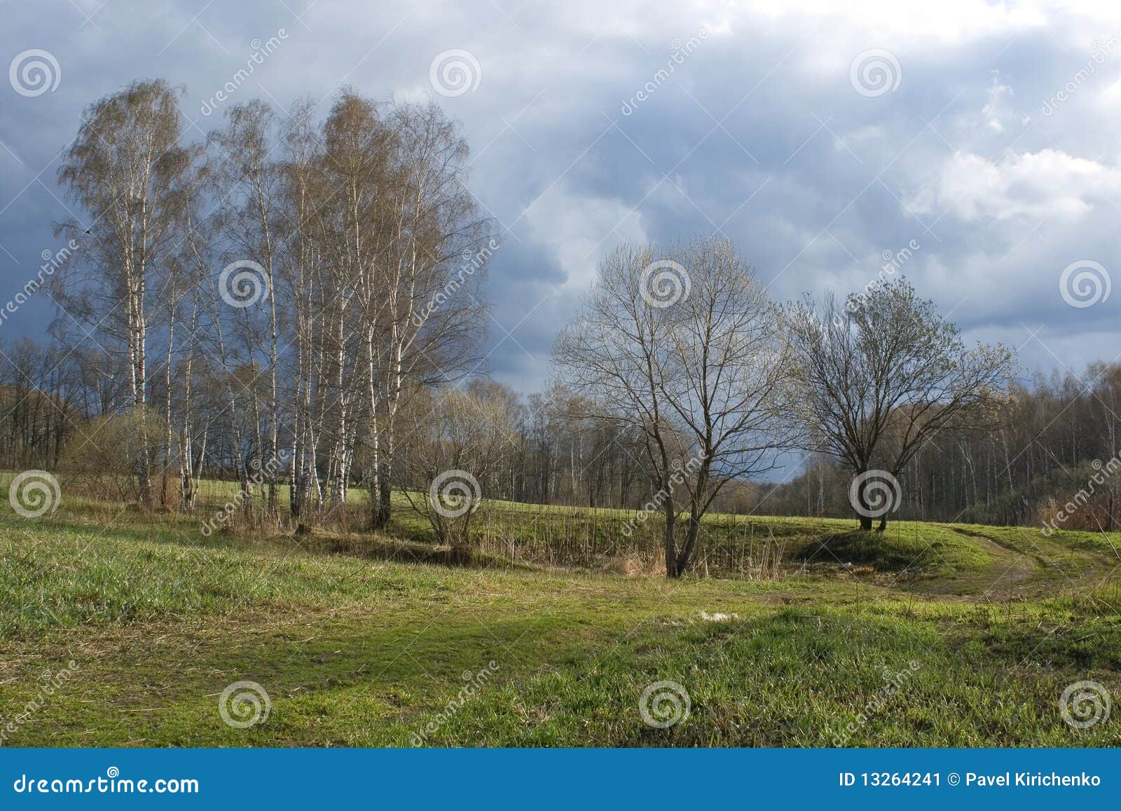 Horizontal de pré et de forêt de source