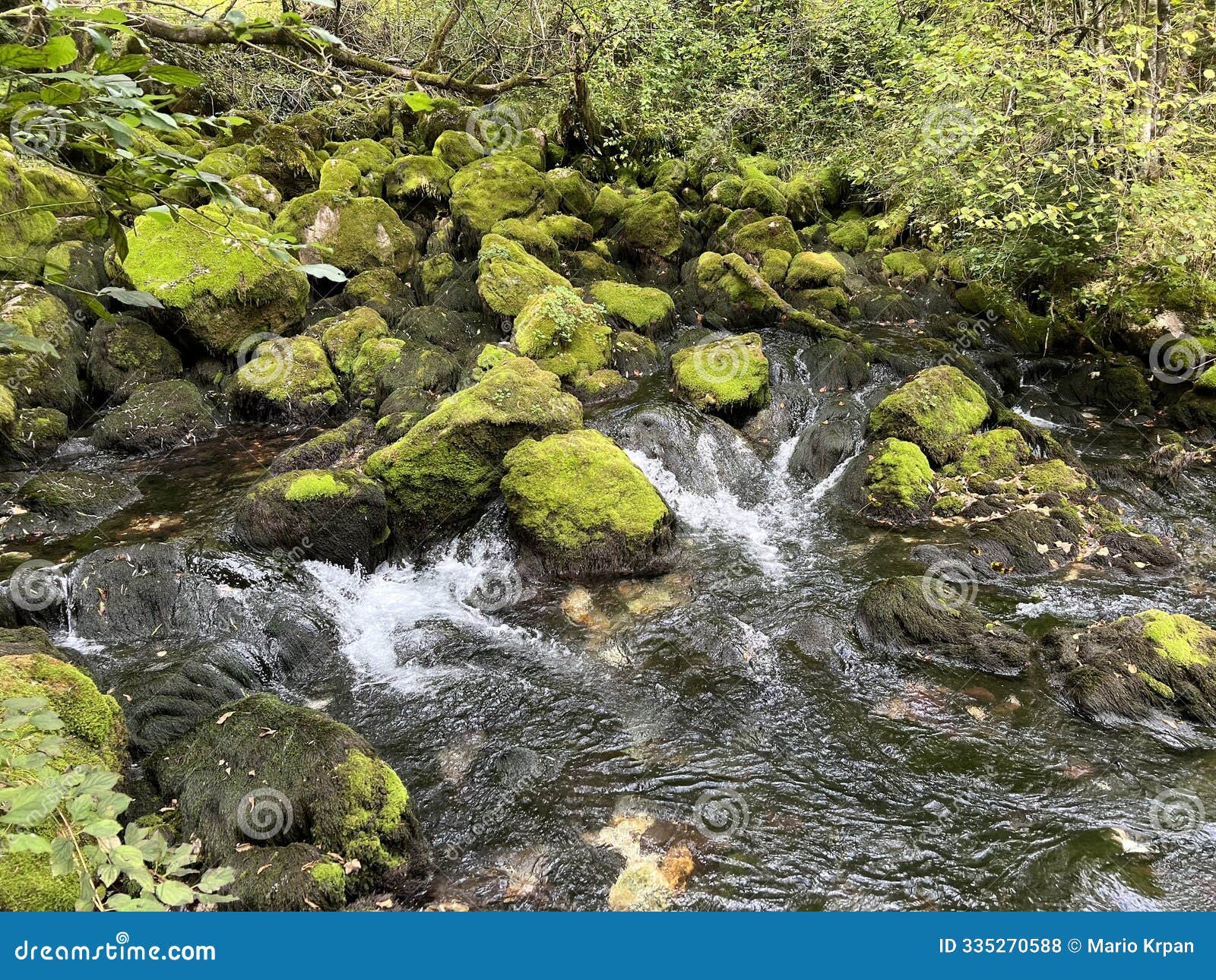 source glijun or the source of the stream gljun (bovec, slovenia) - die quelle des baches glijun oder die quelle gljun