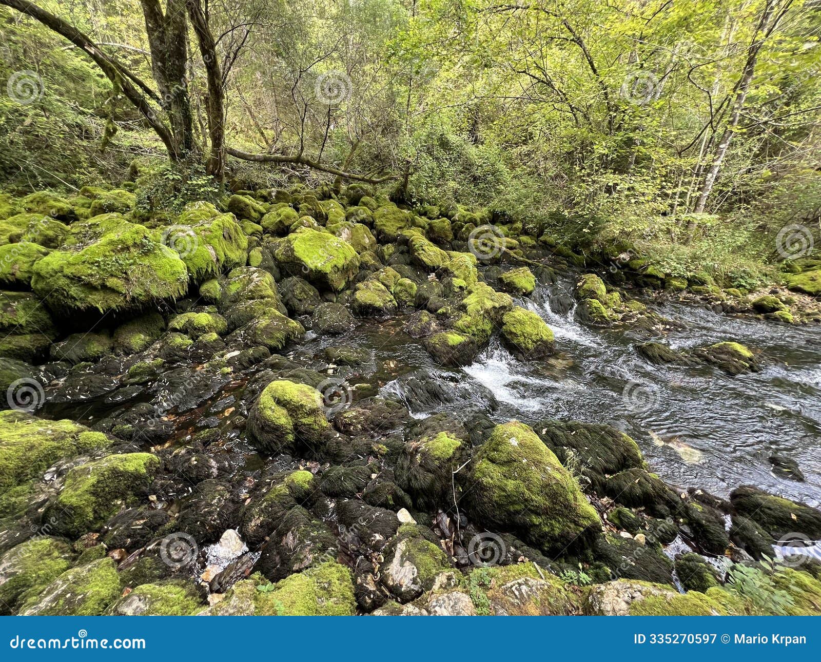 source glijun or the source of the stream gljun (bovec, slovenia) - die quelle des baches glijun oder die quelle gljun