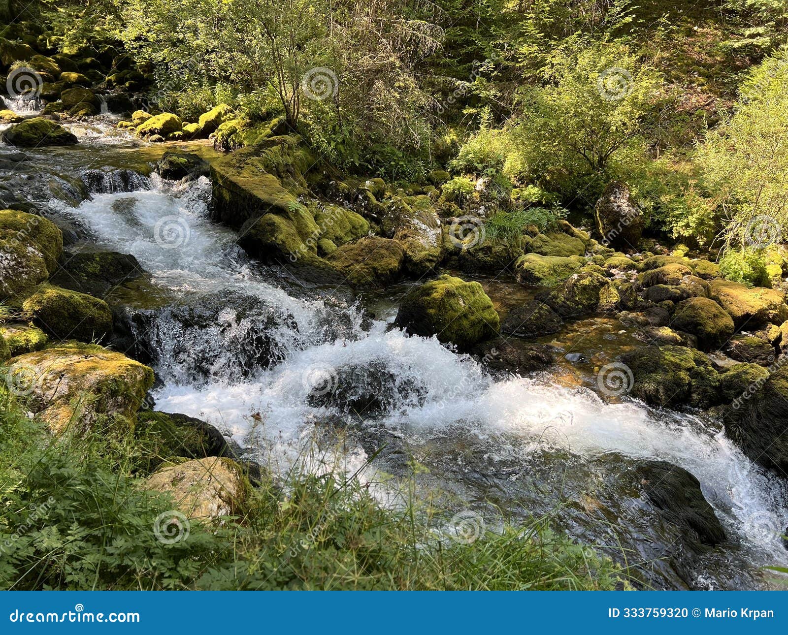source glijun or the source of the stream gljun (bovec, slovenia) - die quelle des baches glijun