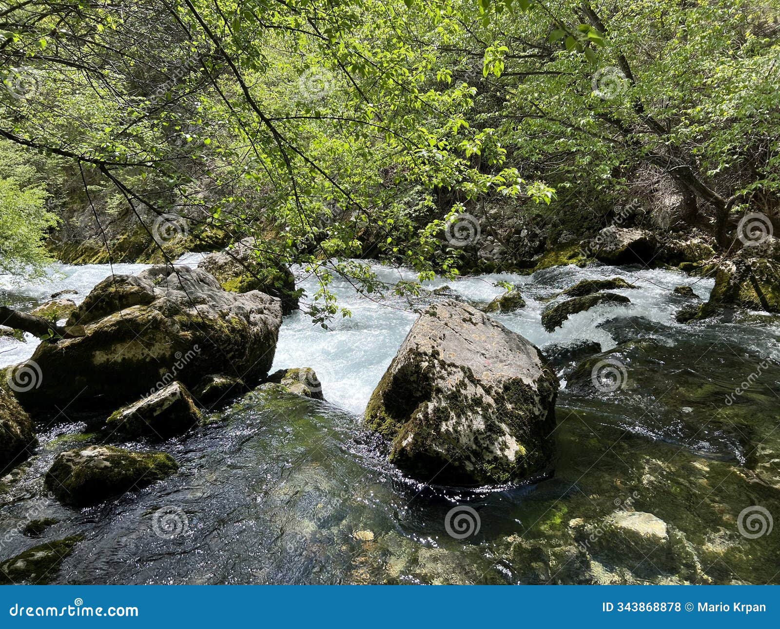 the source of the river zrmanja (velebit nature park, croatia) - die quelle des flusses zrmanja