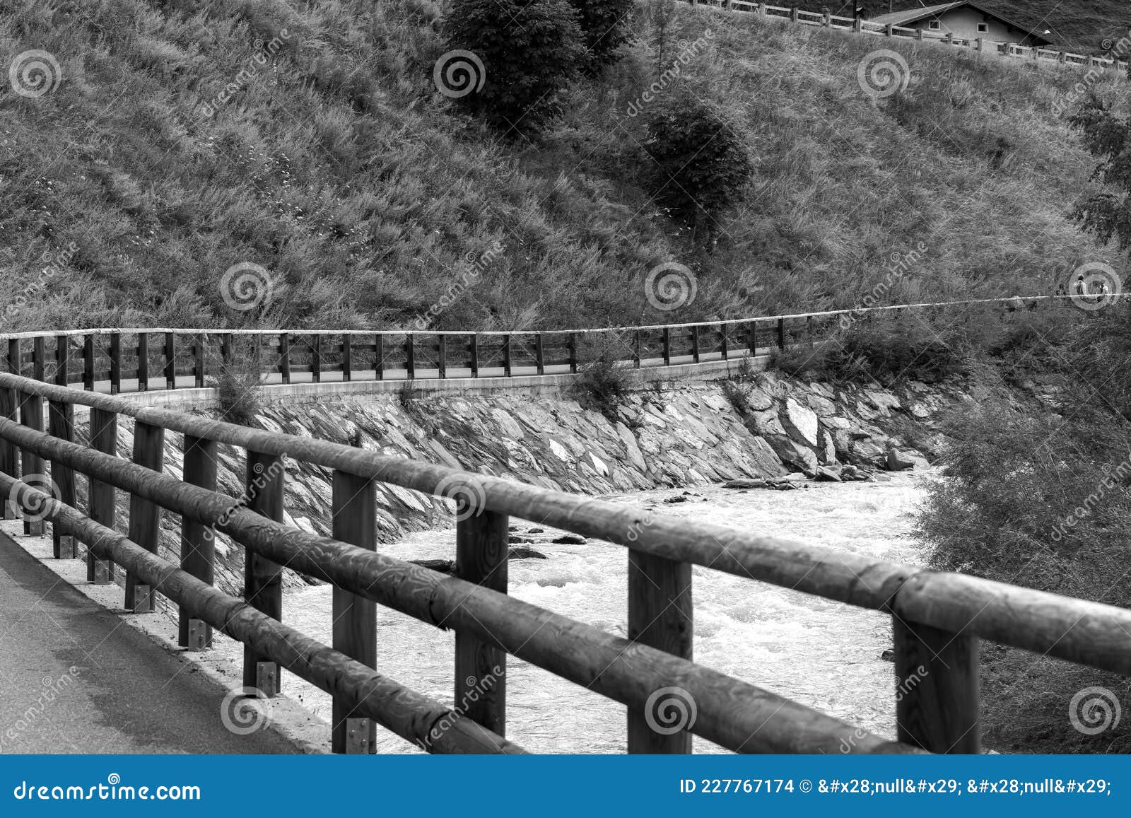 the frodolfo stream runs through the valfurva, italy