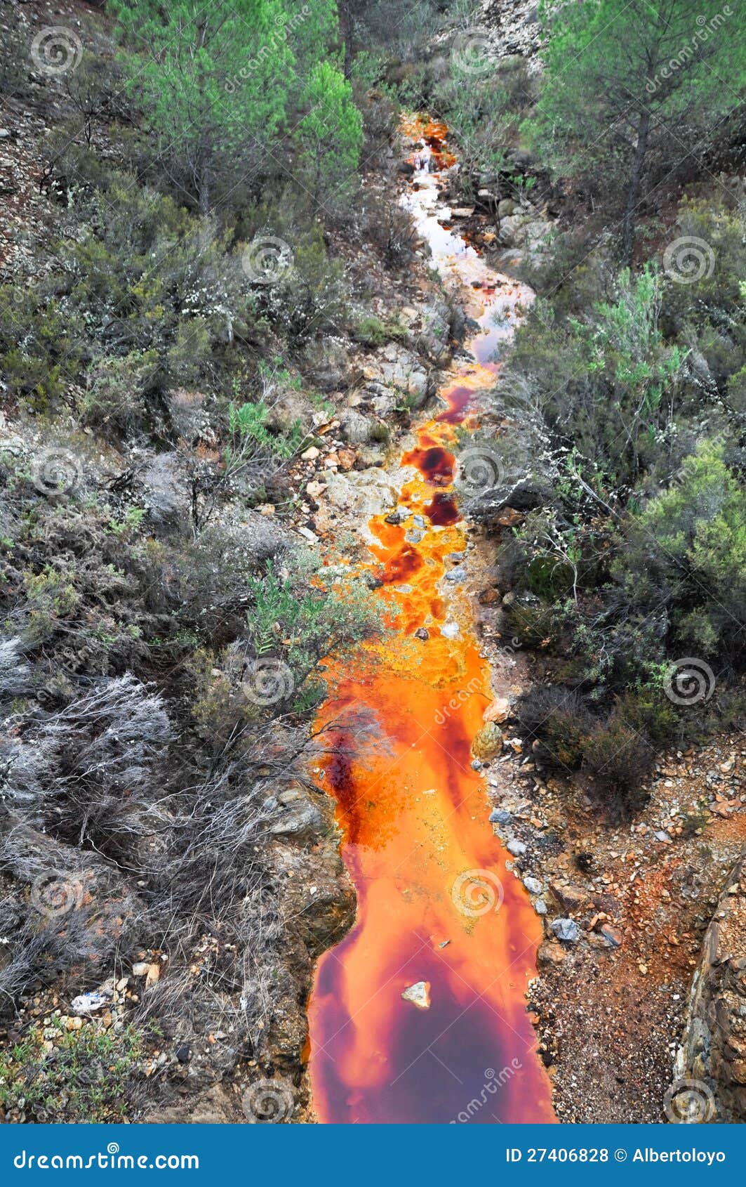 source of tinto river, andalusia (spain)