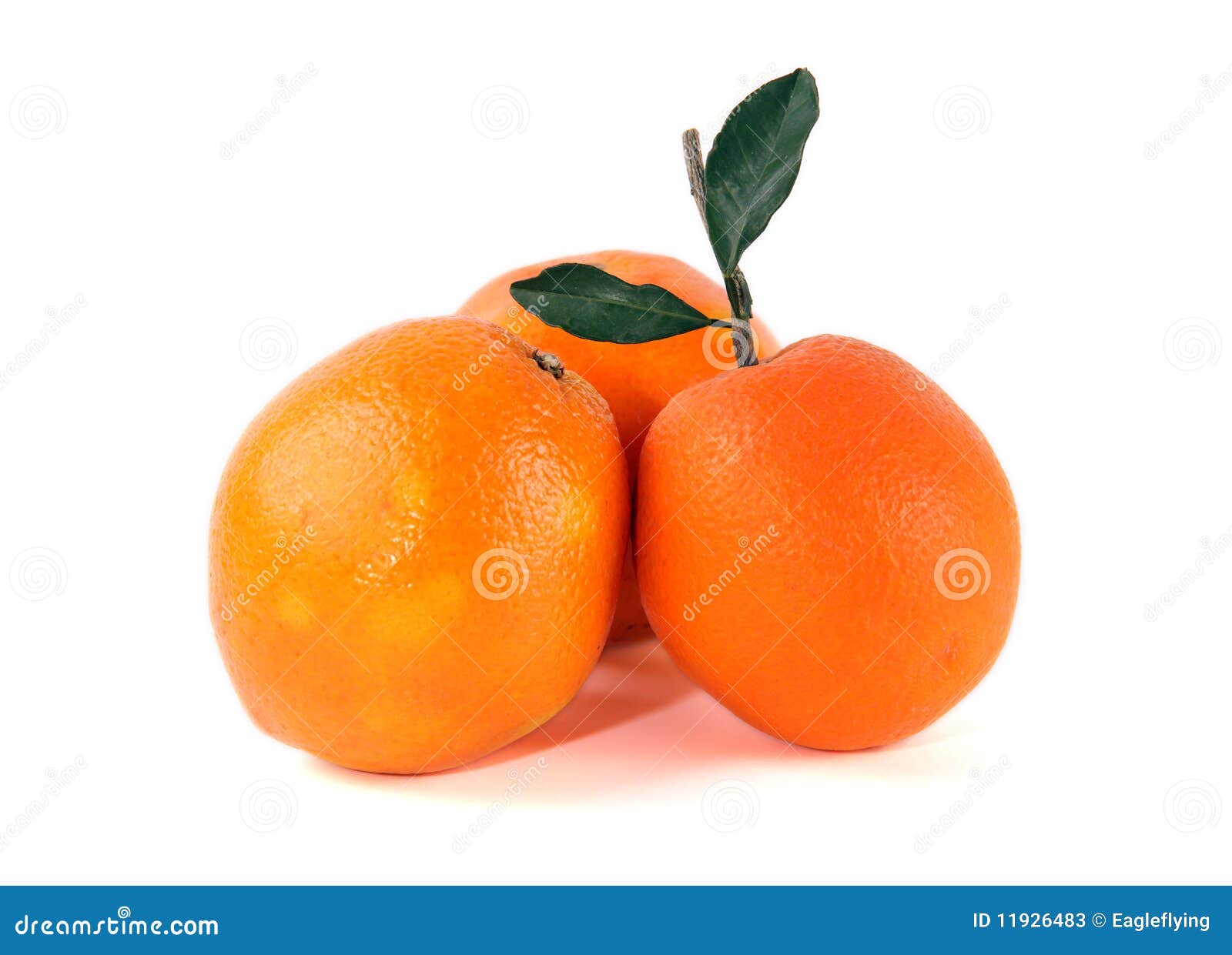 Source of Vitamin C Fresh Oranges Stock Image Image of white, tasty