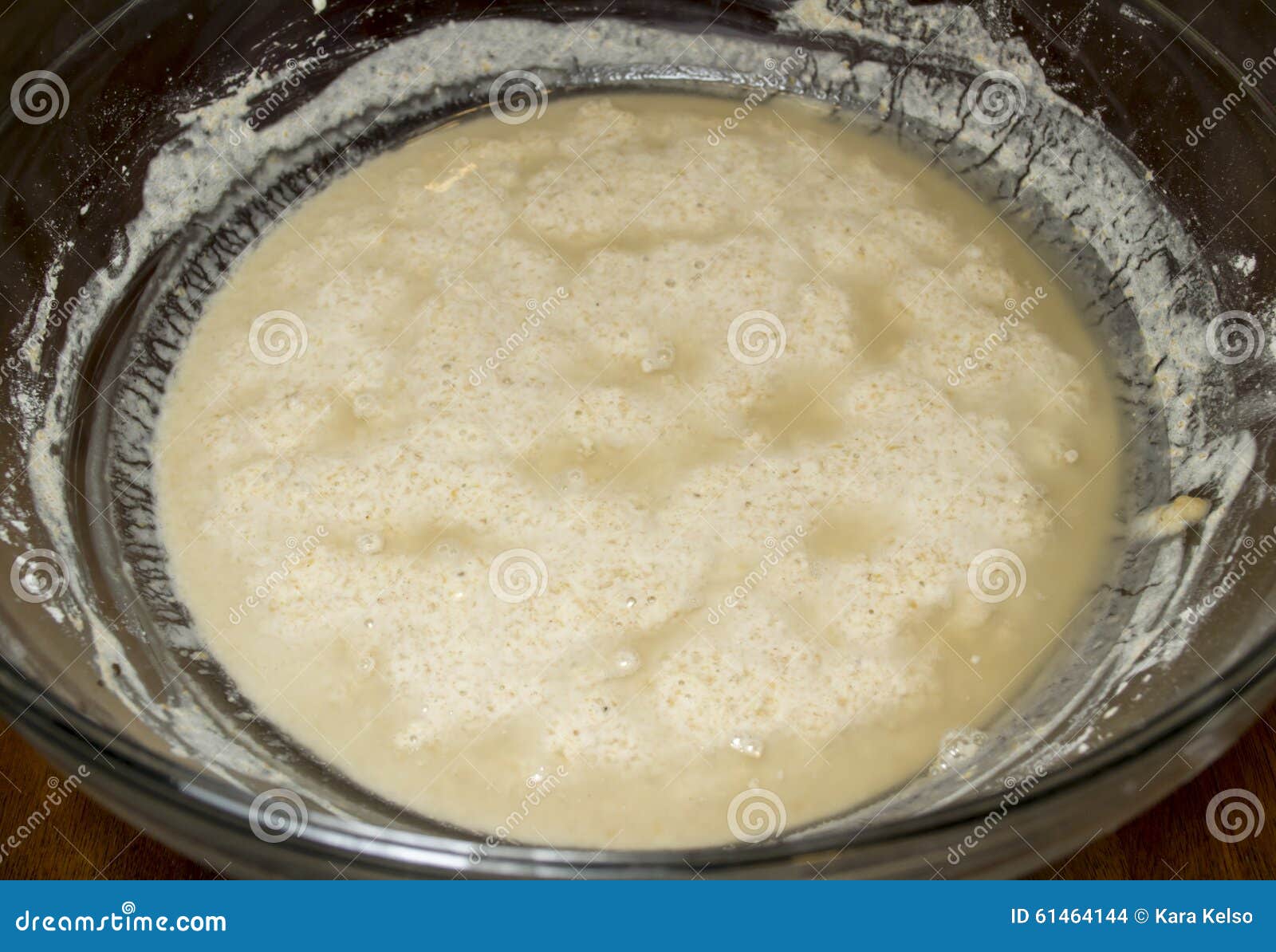 Sourdough Sponge Ingredient Stock Photo Image of flour, sourdough