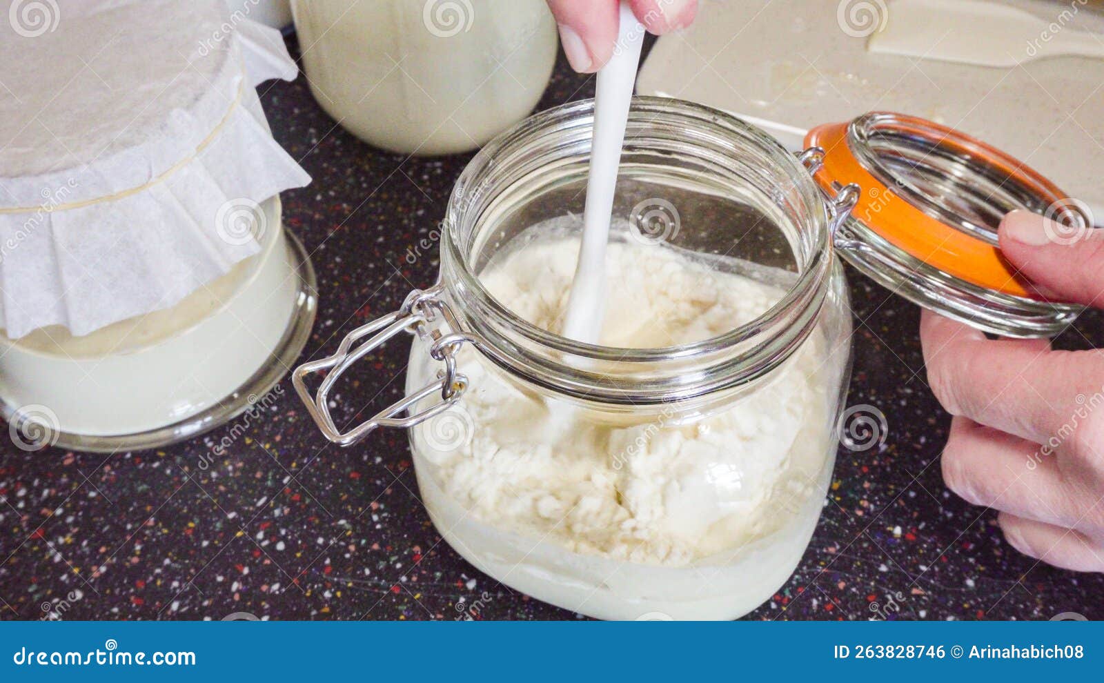 Sourdough starter stock photo. Image of indoors, refrigerator 263828746