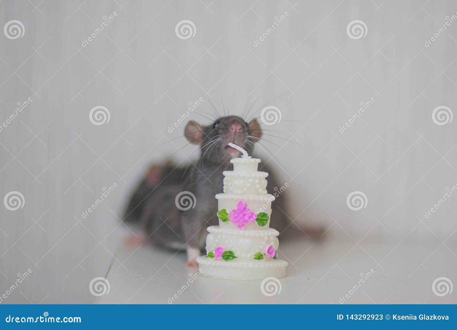 Souris Rat Gentil Avec Le Gateau L Anniversaire Doux De Gateau Celebrent Image Stock Image Du Souris Avec Souris Rat Gentil Avec Le Gateau L Anniversaire Doux De Gateau Celebrent Image Stock Image Du Souris Avec