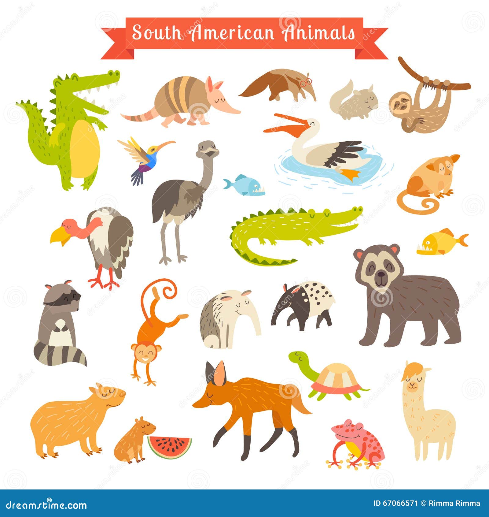 Sourth America Animals Vector Illustration. Big Vector Set Stock Vector - Illustration of graphic, icon: 67066571 Sourth America Animals Vector Illustration. Big Vector Set Stock Vector - Illustration of graphic, icon: 67066571