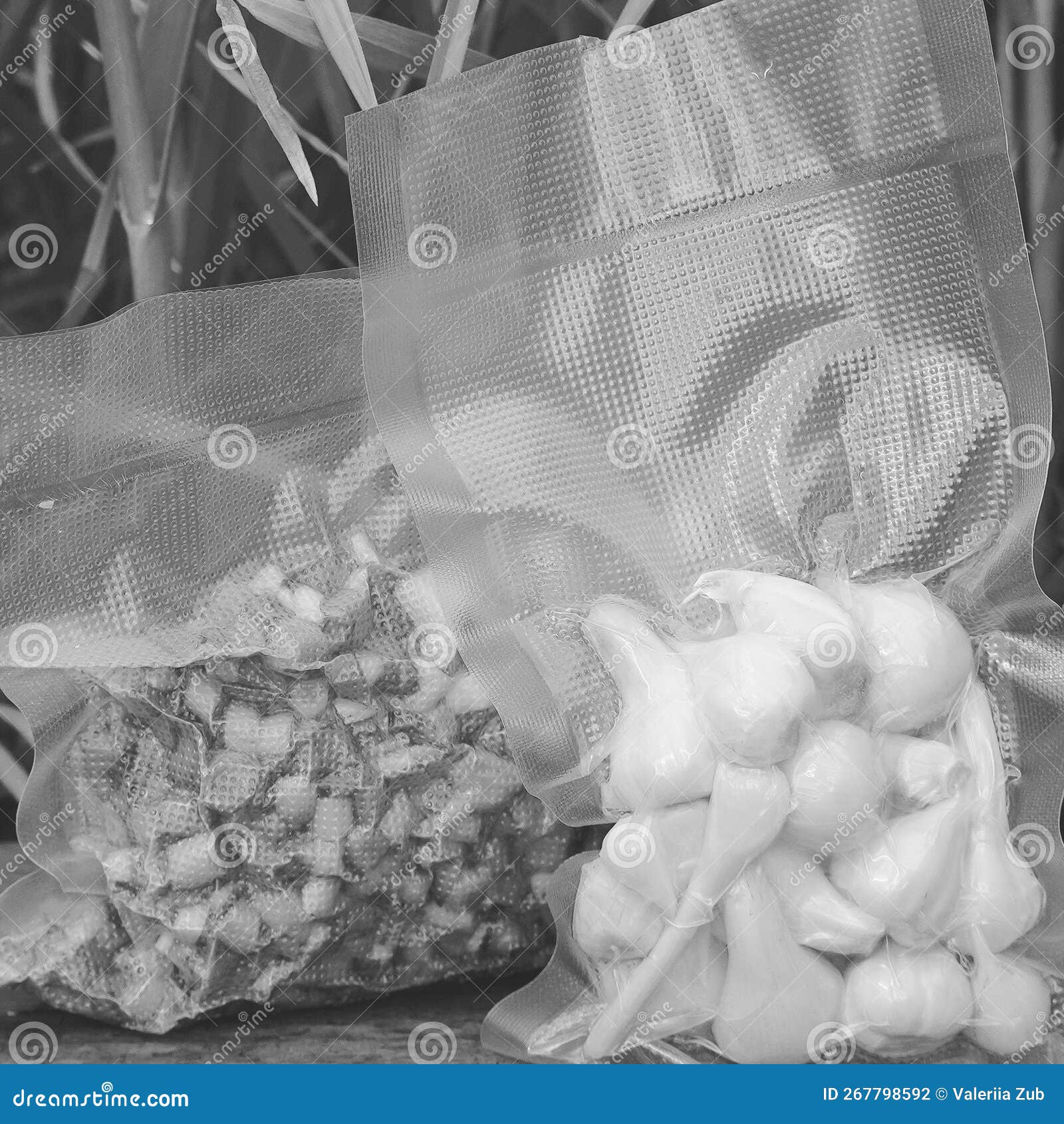 Souse Vide Cooking. Vacuum Packed Garlic. Black and White Stock Photo