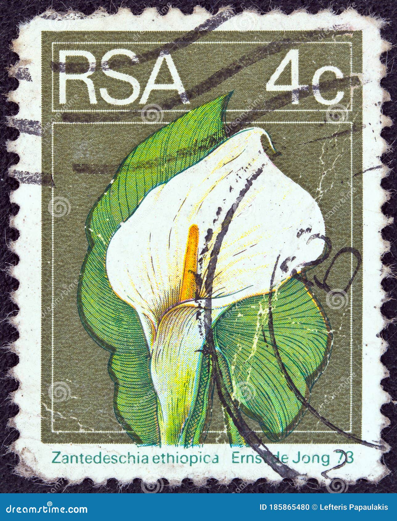 SOUTH AFRICA - CIRCA 1974: a Stamp Printed in South Africa Shows an ...