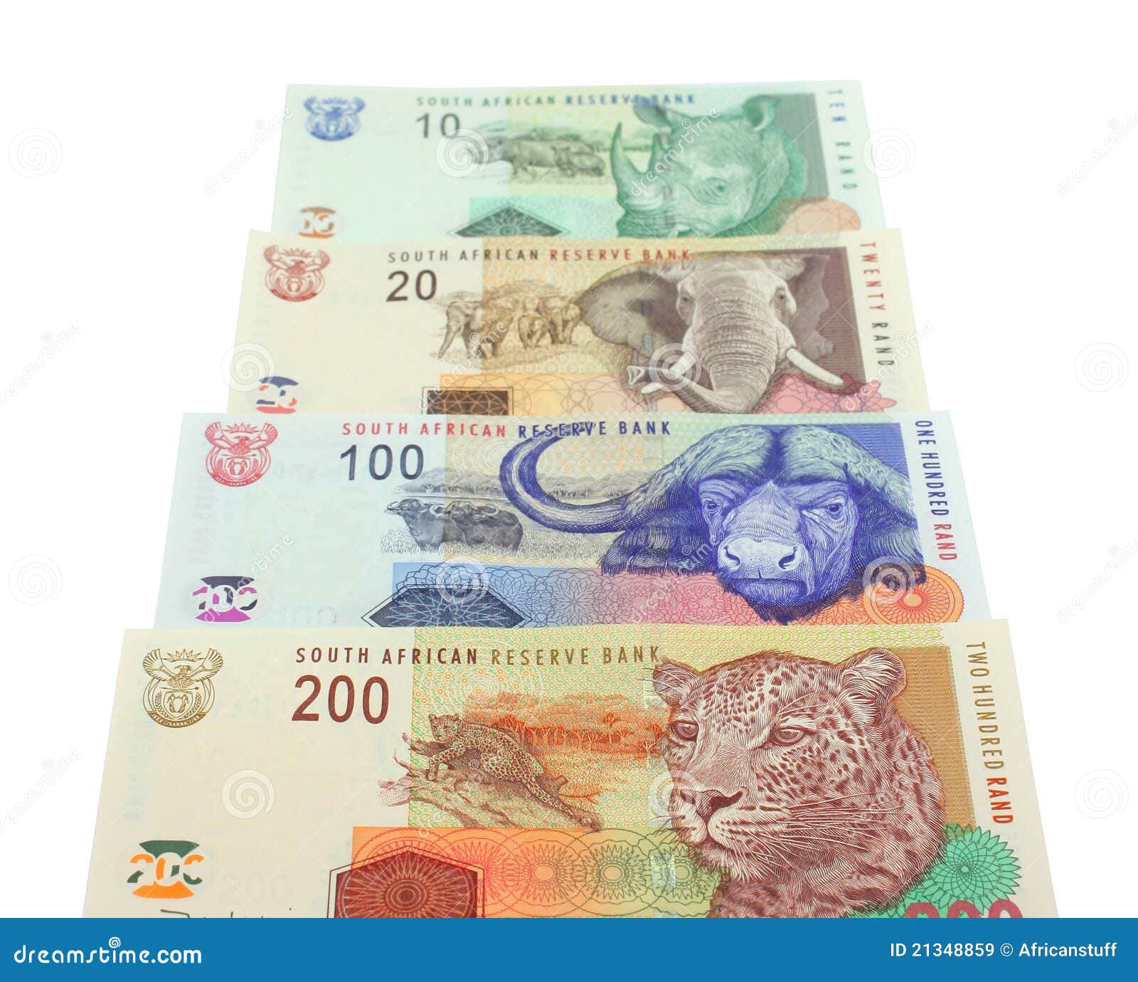 south african money notes stock image image of exchange