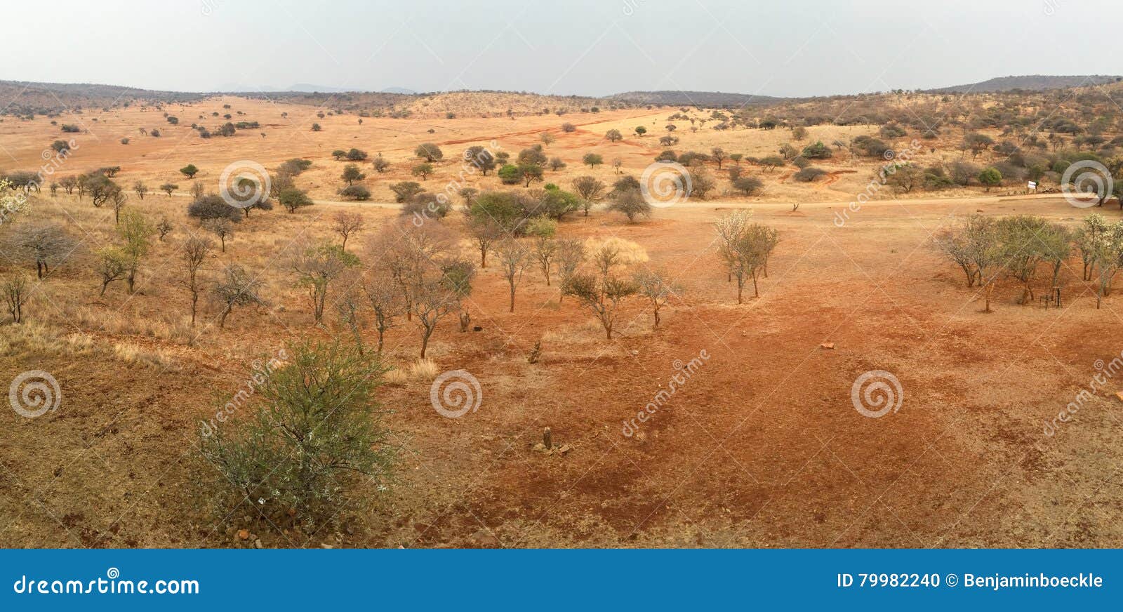 African veldt habitat