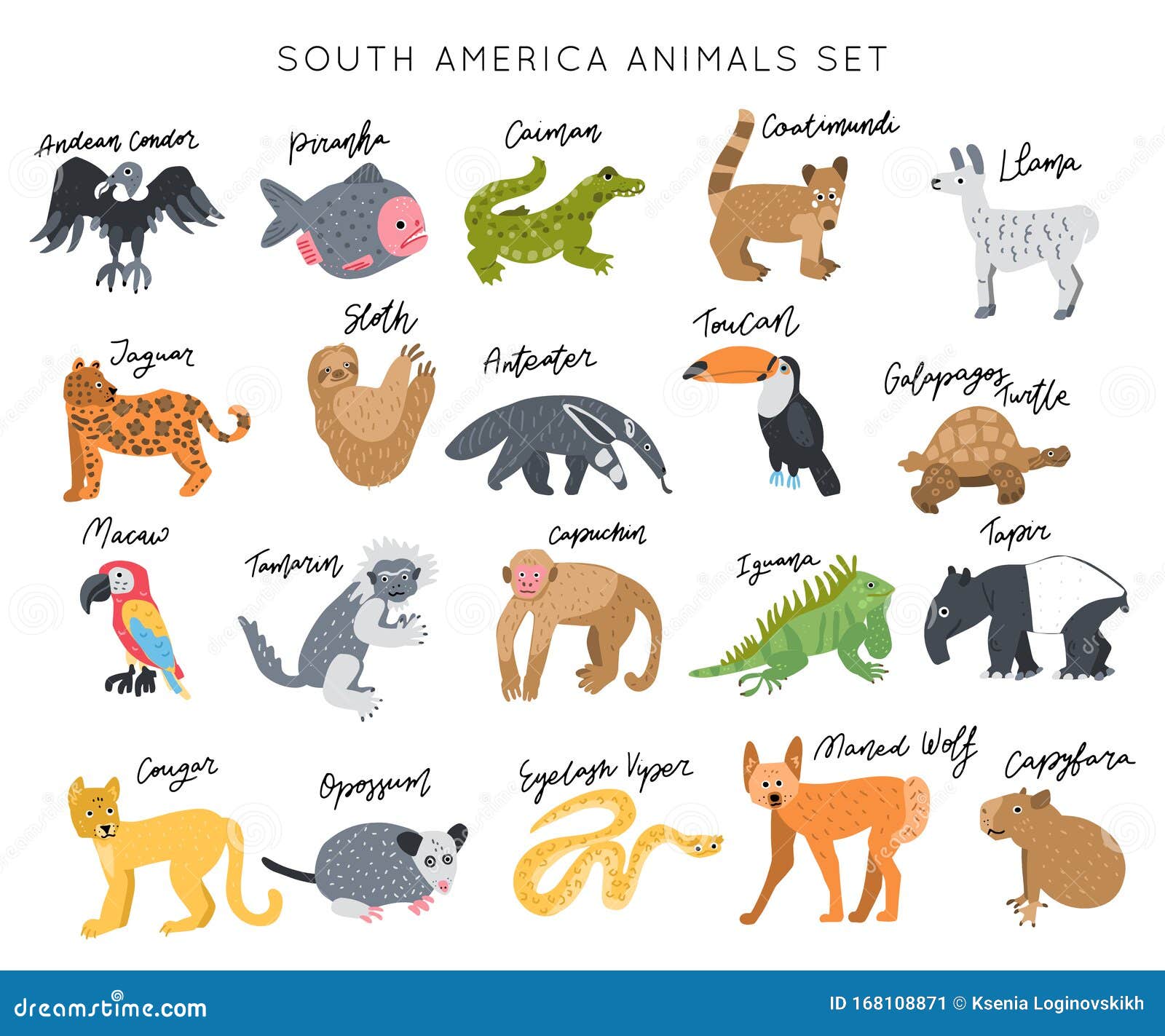 Animals In South America A Z