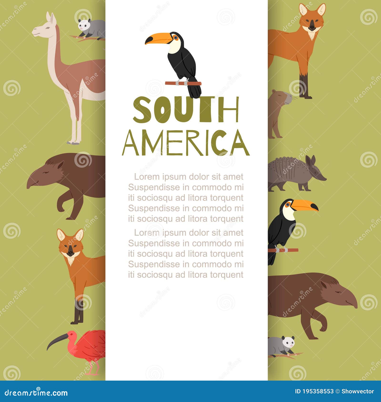 South America, Banner Inscription, Animals Background Information, Cute Wildlife Wild Jungle, Design Cartoon Vector Stock Vector - Illustration of collection, mammal: 195358553 South America, Banner Inscription, Animals Background Information, Cute Wildlife Wild Jungle, Design Cartoon Vector Stock Vector - Illustration of collection, mammal: 195358553