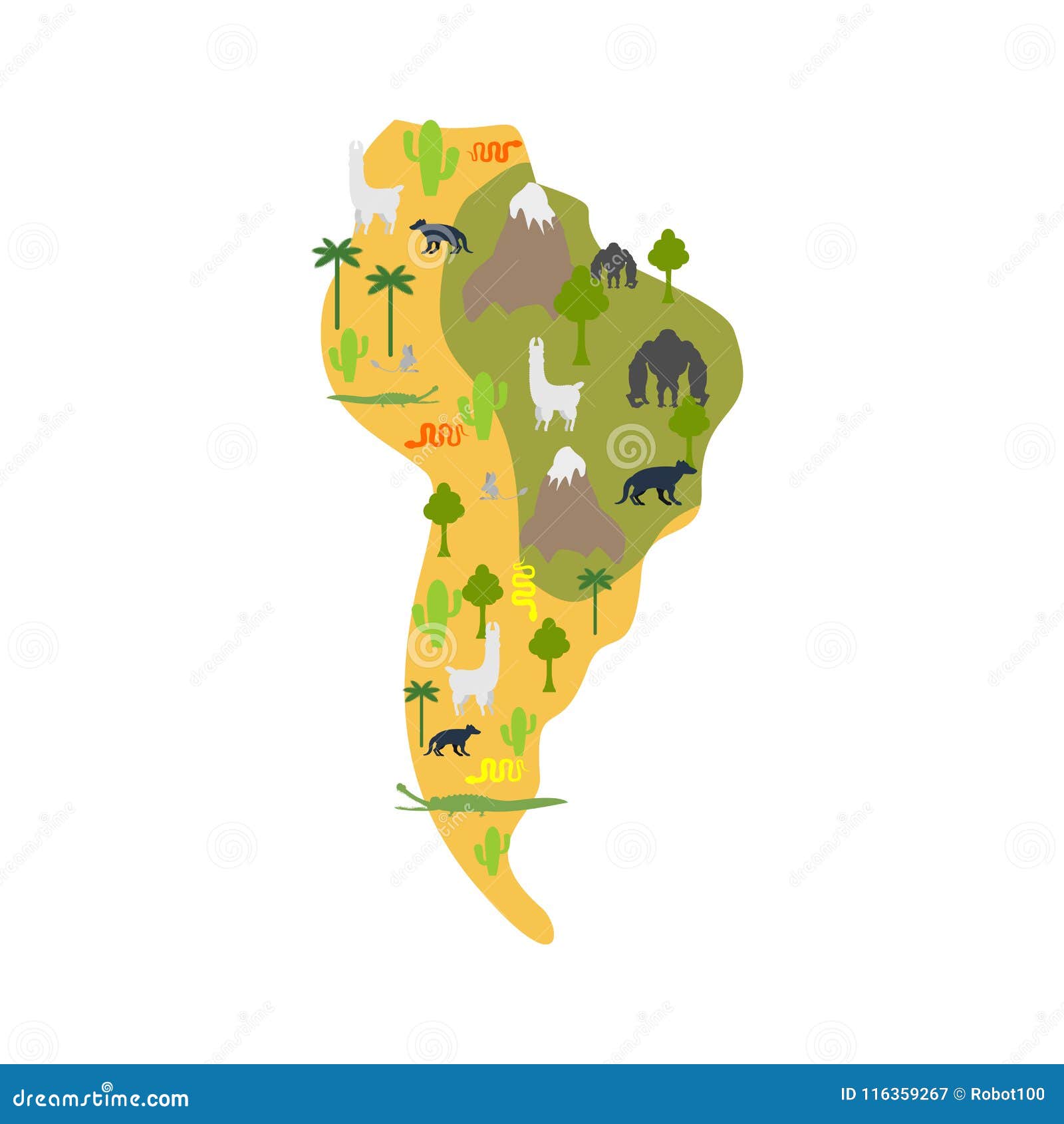 South America Flora and Fauna. Map Animals and Plants on Mainland Stock  Vector - Illustration of amazon, background: 116359267