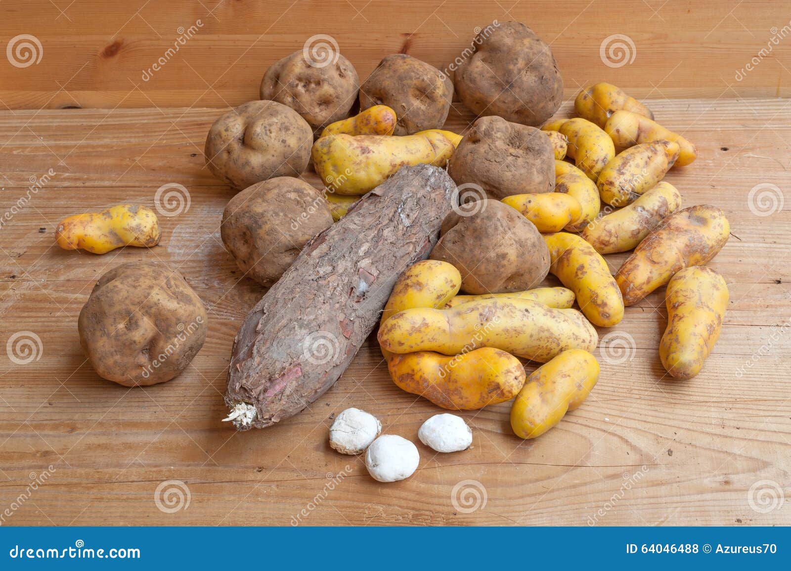 South American Potatoes stock photo. Image of white, solanum 64046488
