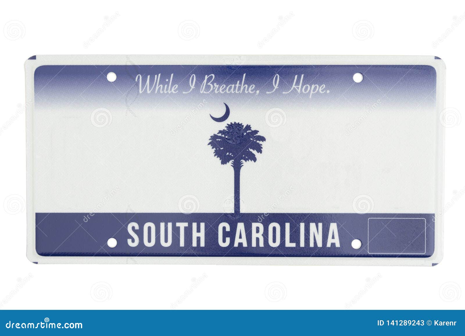 South Carolina Car License Plate Stock Illustration Illustration Of