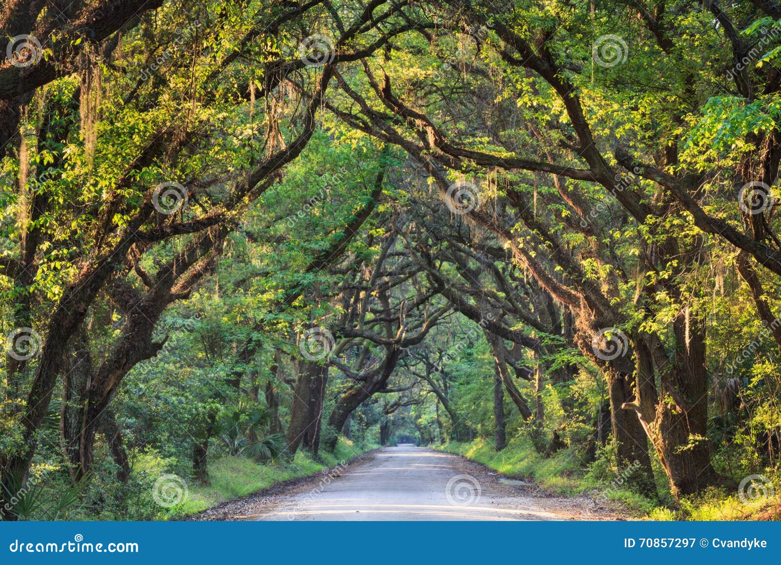 south carolina lowcountry back roads botany bay