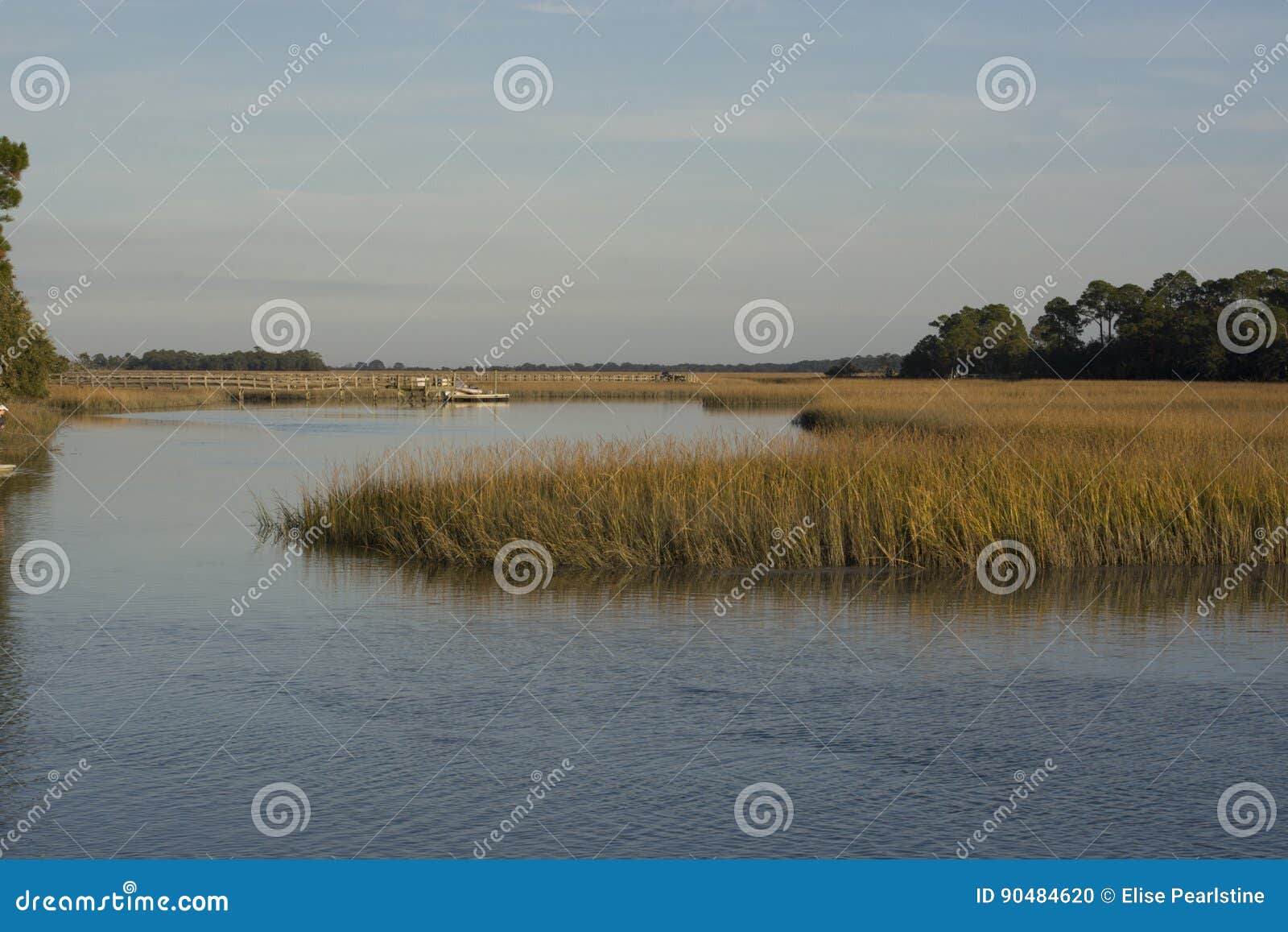 south carolina marsh