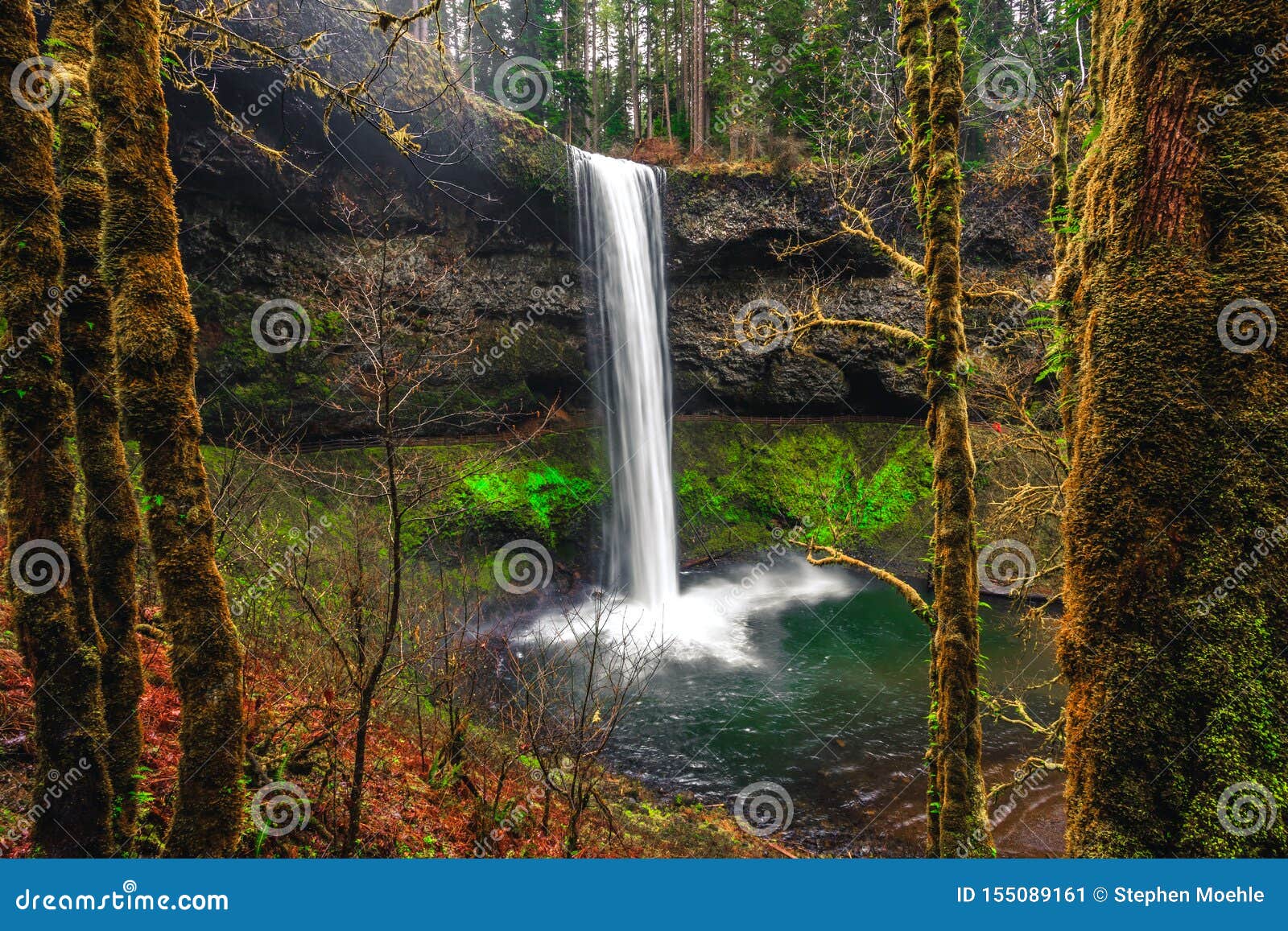 Silver Falls State Park: melhores trilhas curtas