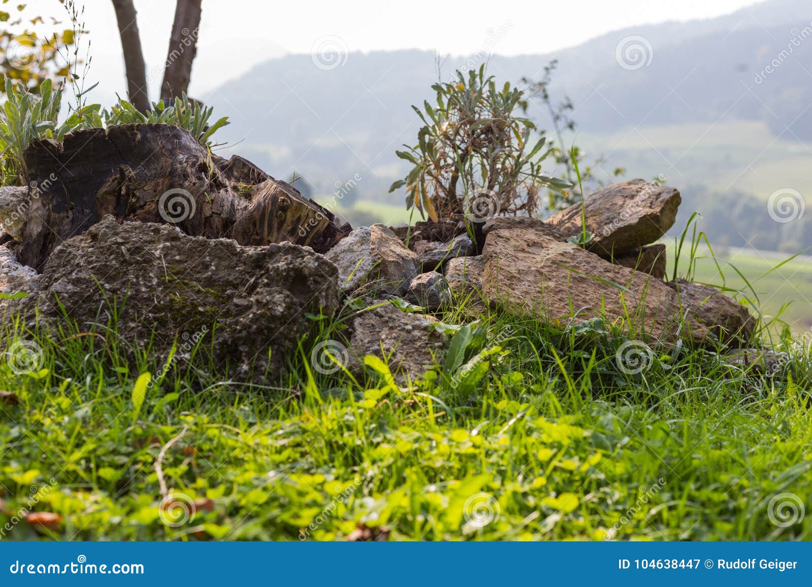 South German Cottage Garden Stock Image Image Of Stone