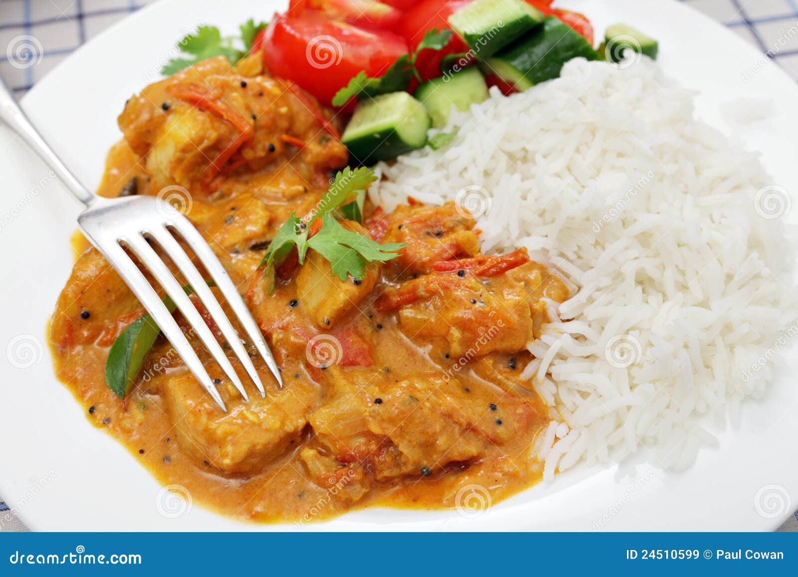 South Indian chicken curry stock image. Image of basmati - 24510599