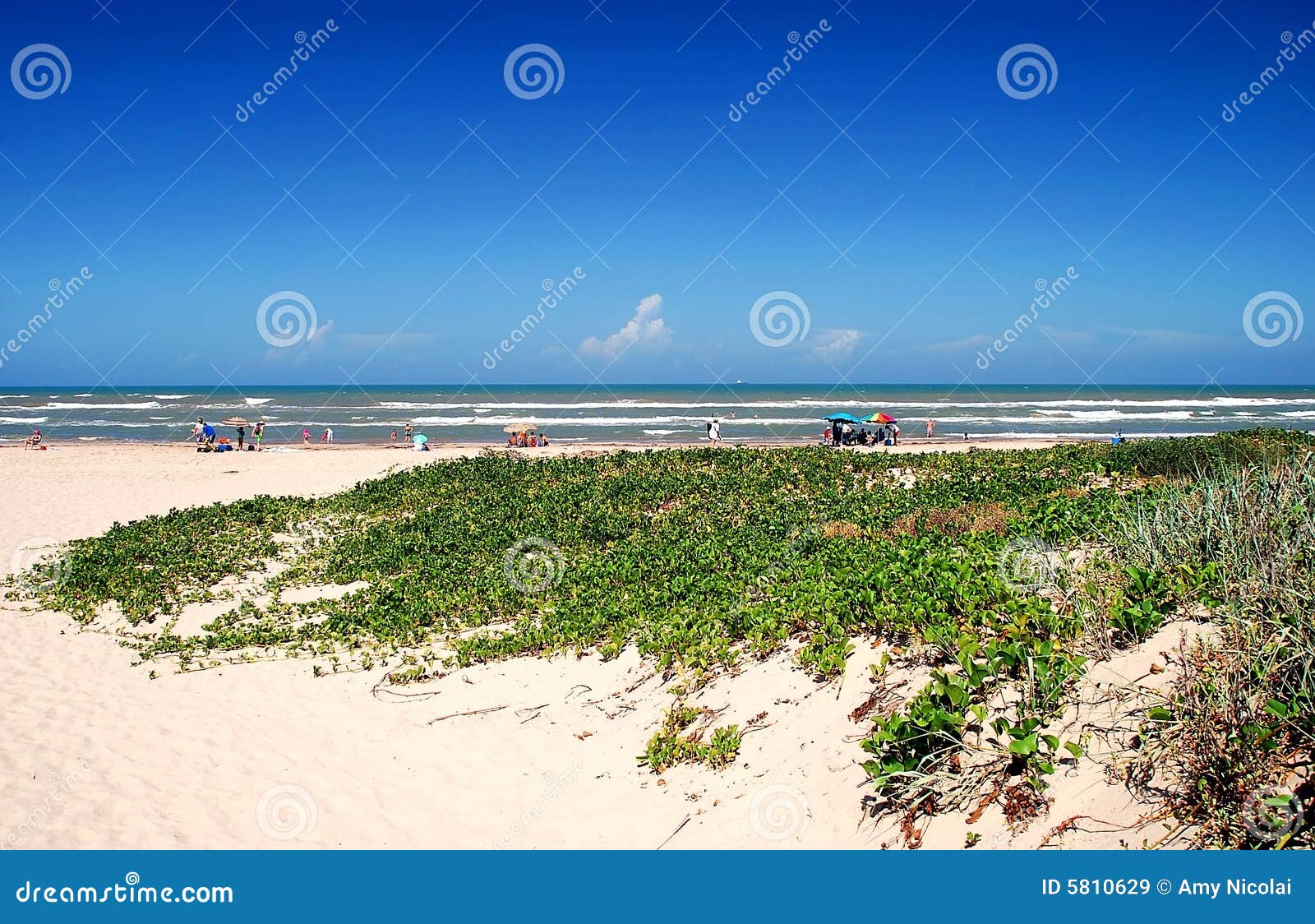 South Padre Island Beach Scene Stock Image Image of ocean, dunes 5810629