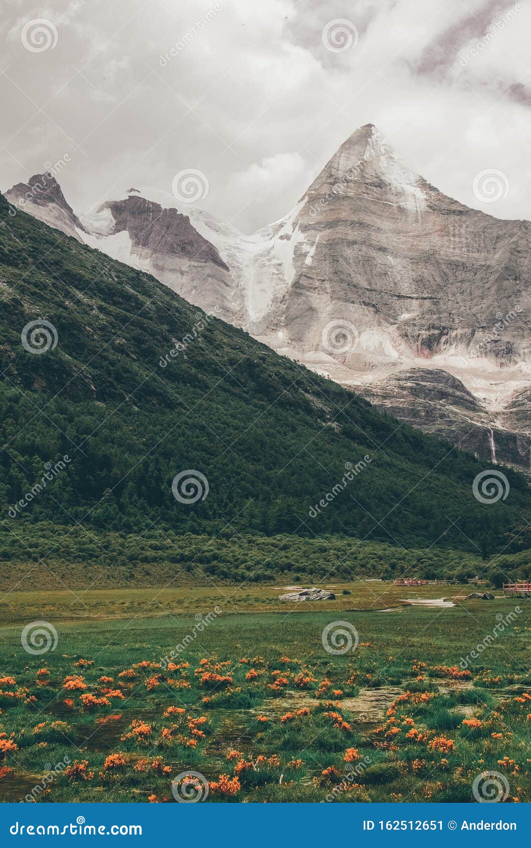 yangmai yong peak of inagi aden