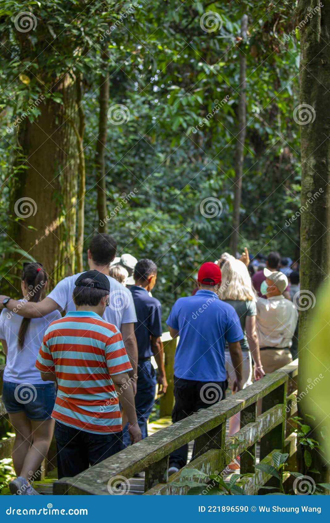 Southeast Asia, Tourist Attractions, Malaysia, Borneo, Sabah, Sandakan, Animal  Sanctuary, Tourists Editorial Image - Image of tourism, jungle: 221896590