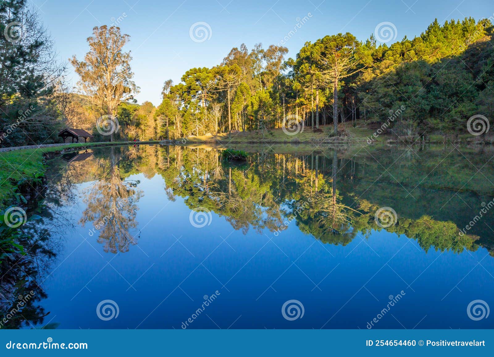 Southern Brazil Countryside and Lake Reflection Landscape at Peaceful ...