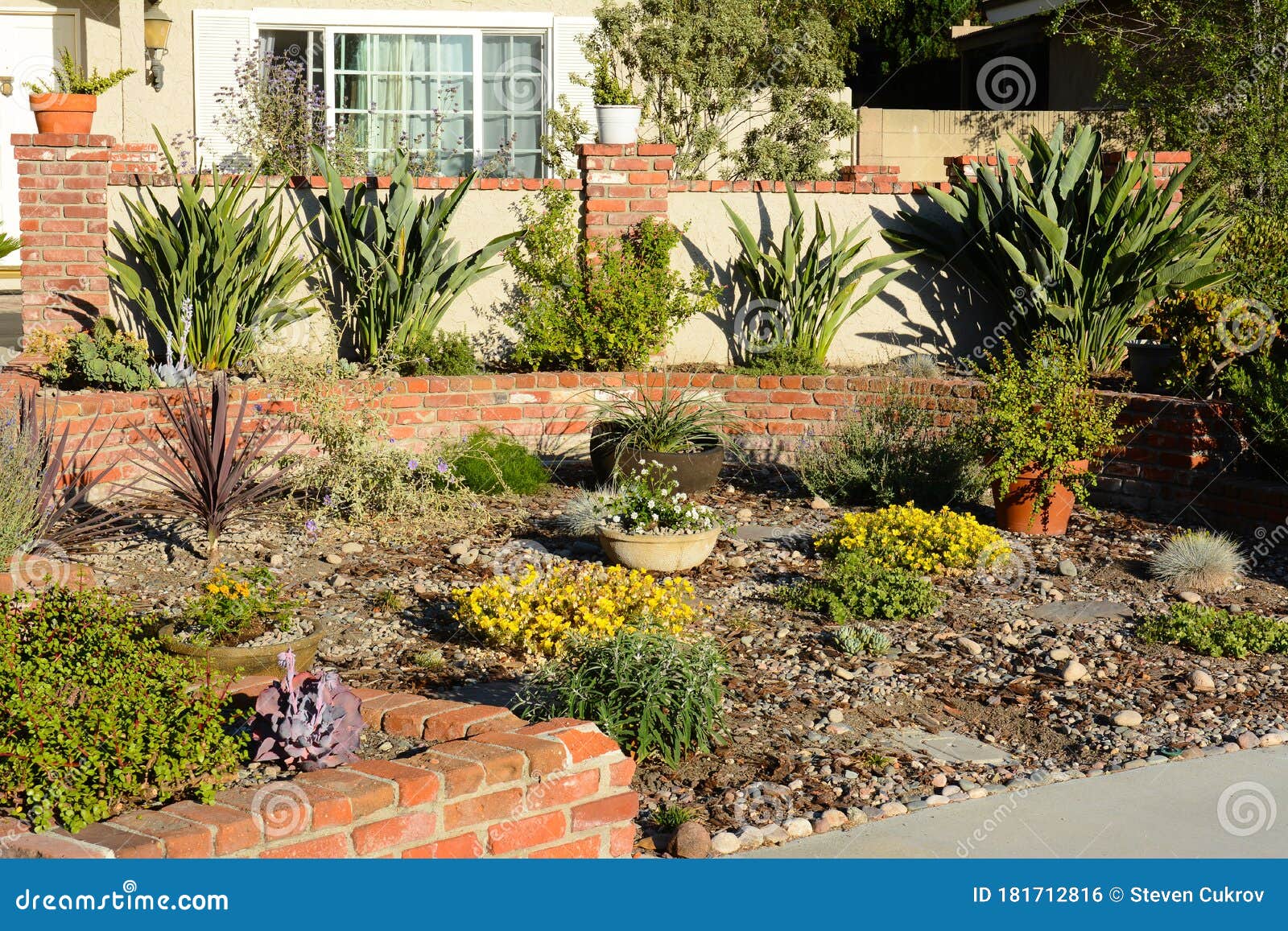 a-southern-california-water-wise-residential-garden-featuring-native