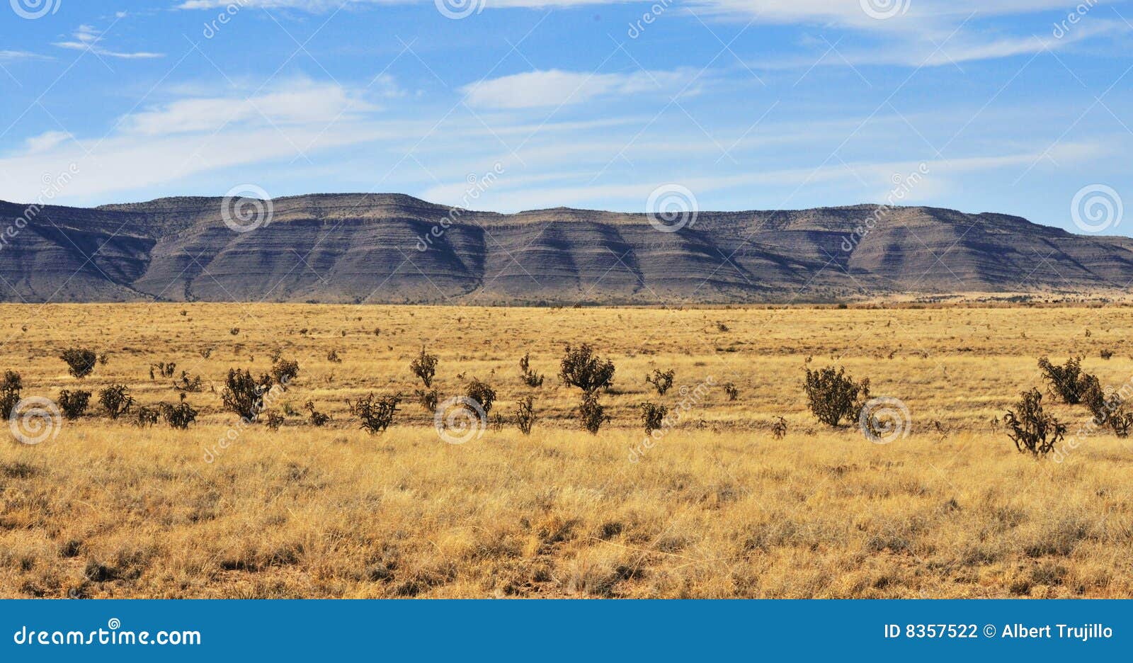 Southern New Mexico Landscape Stock Photo Image of ridge, cactus 8357522