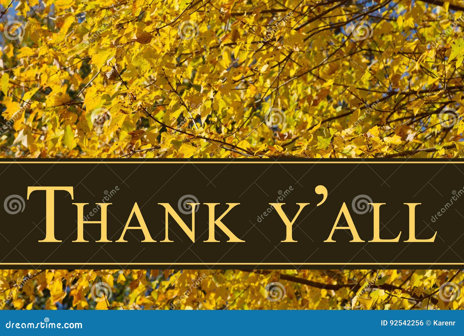 360 Thank You Card Fall Leaves Stock Photos - Free & Royalty-Free ...