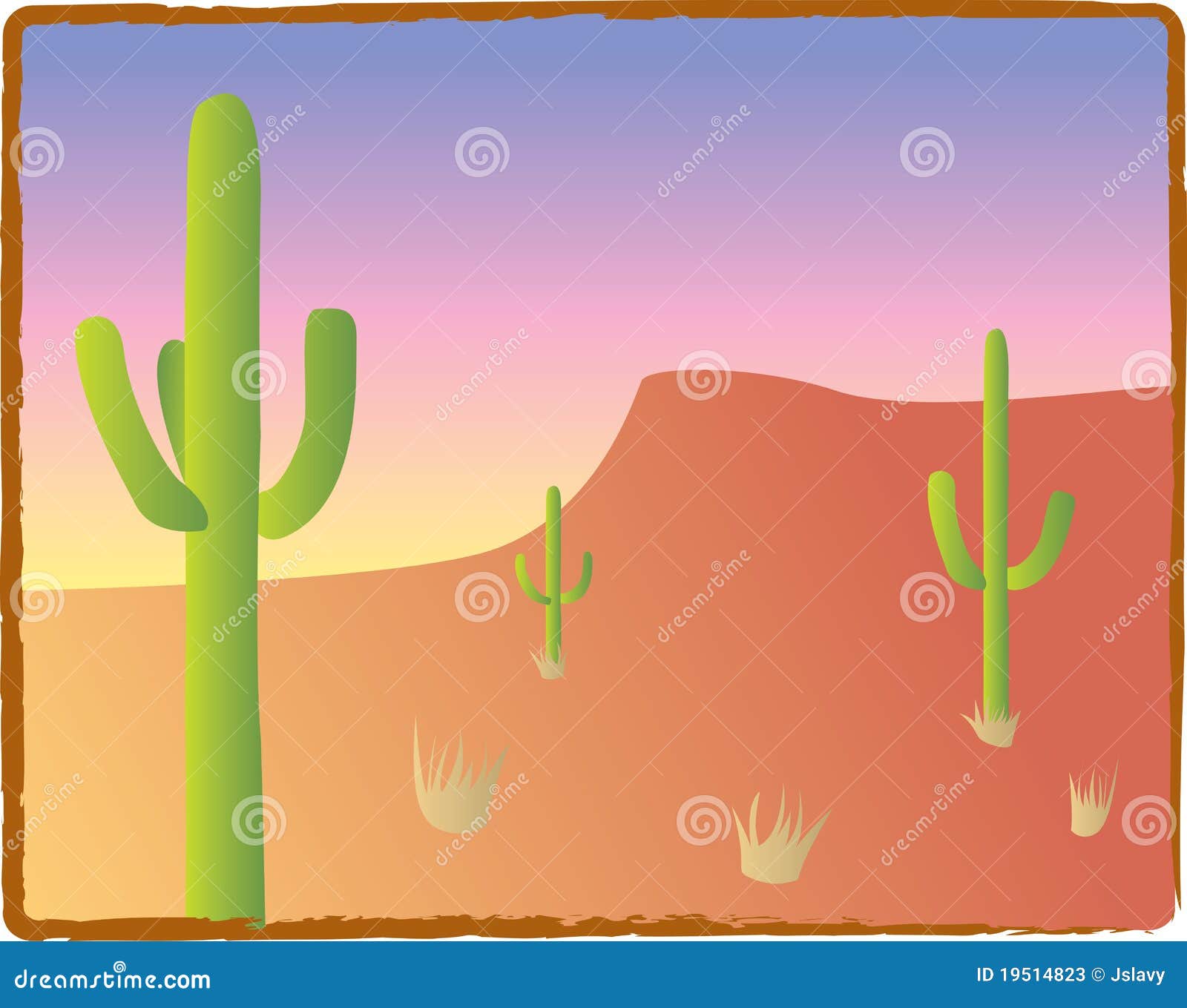 southwest cacti