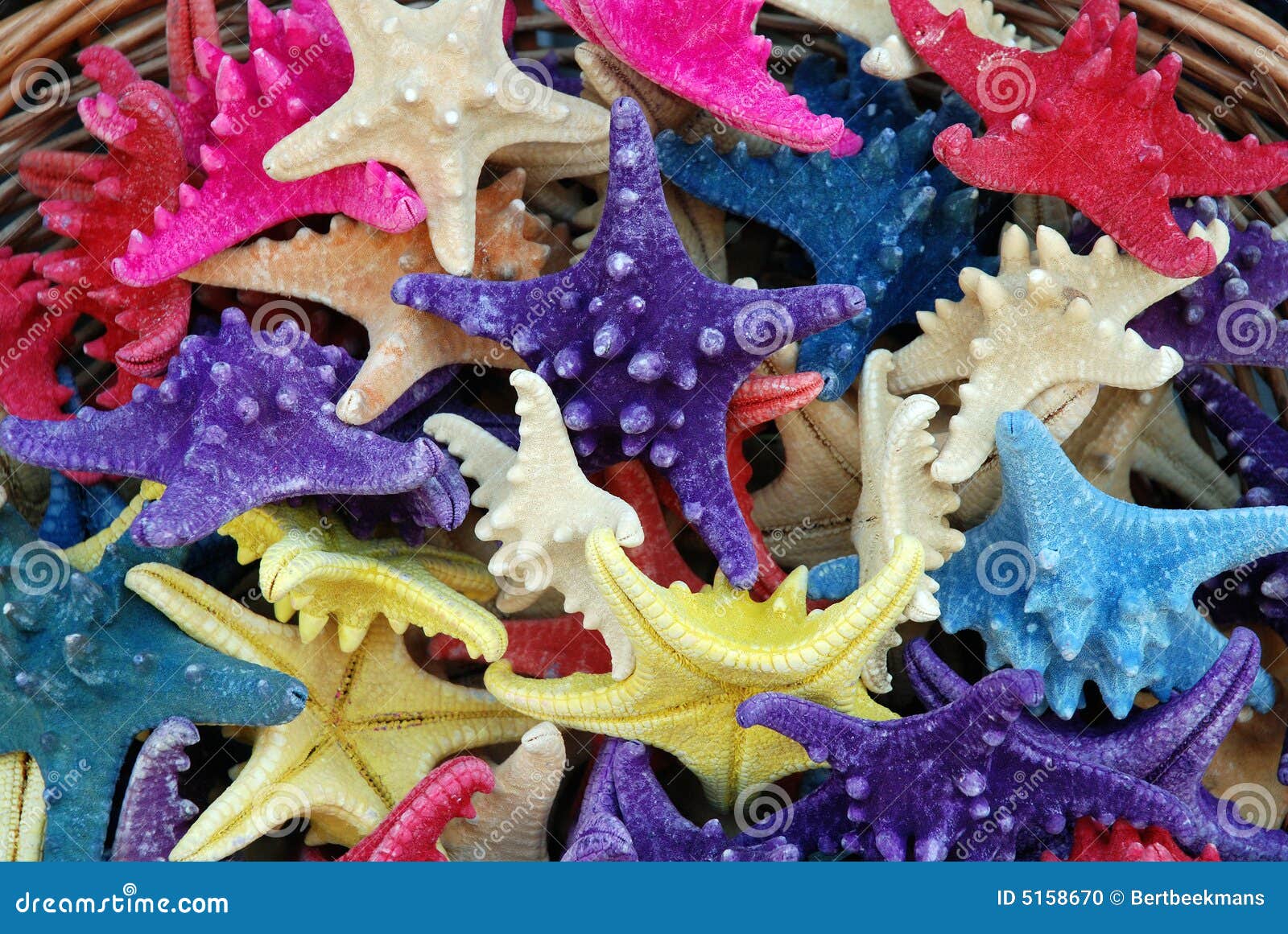 Souvenirs d'étoiles de mer de Colorfull. Un panier a rempli d'étoiles de mer de colorfull sur la belle île de Crète (Grèce)
