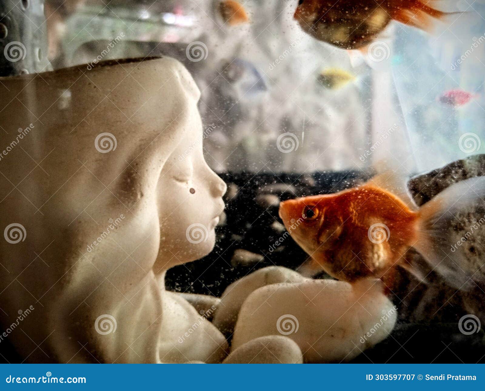 souvenirs given to fish