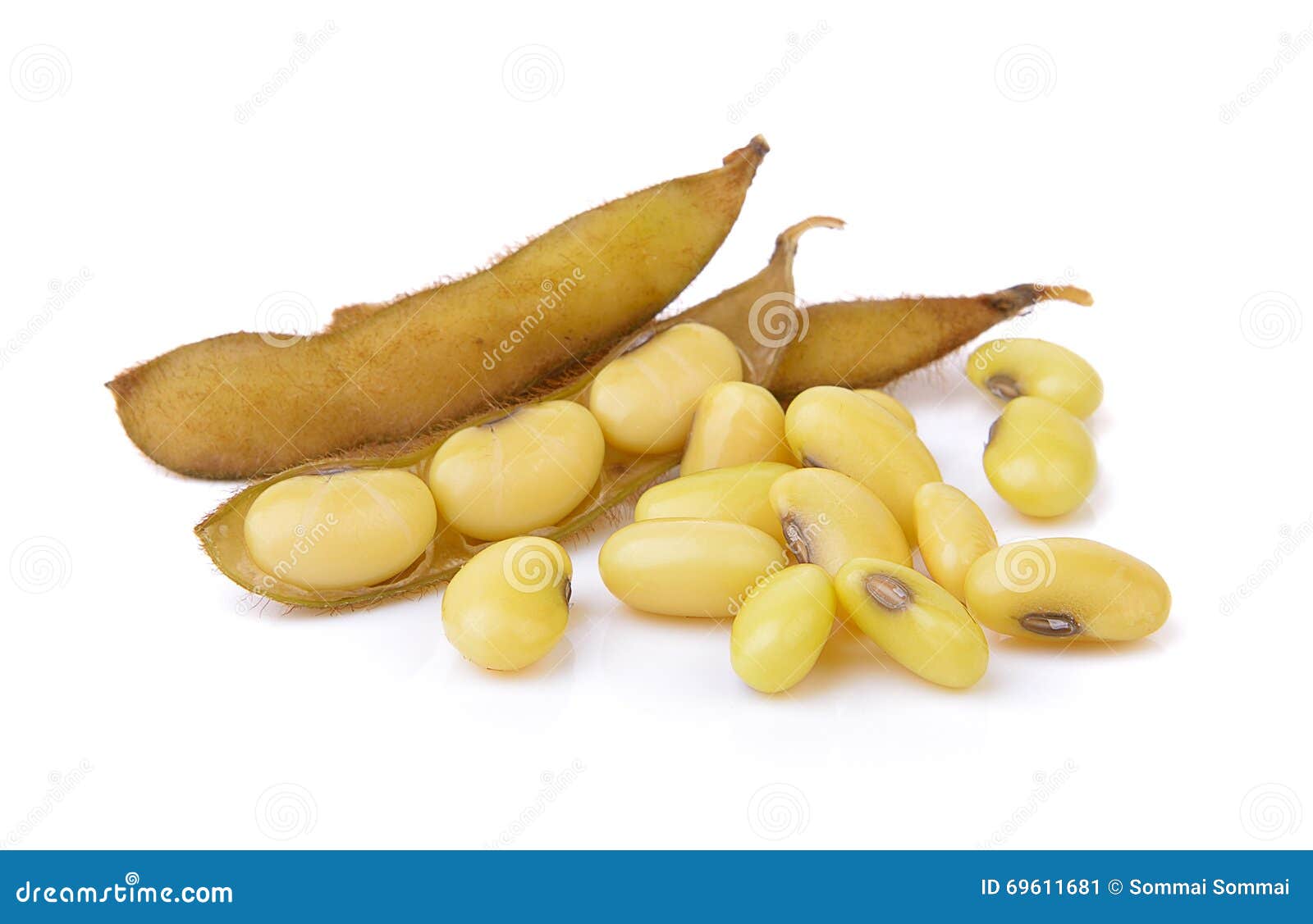 Soy bean stock image. Image of organic, vegetarian, soya 69611681