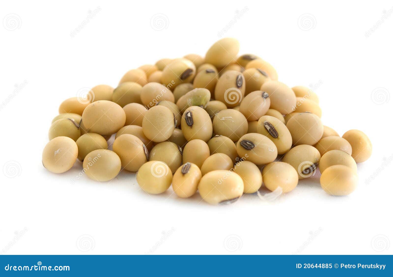 Soy beans stock image. Image of macro, isolated, harvest 20644885