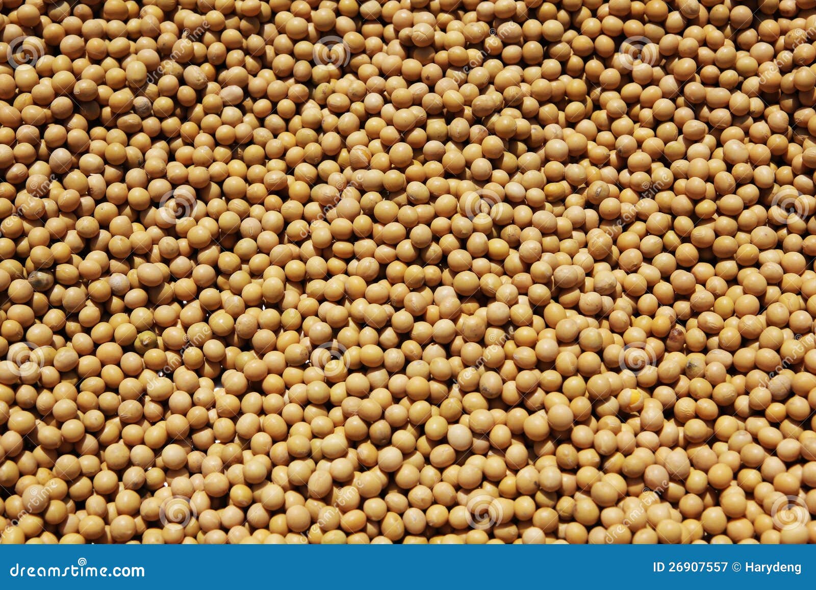 Soy beans stock image. Image of bean, organic, vegetarian 26907557