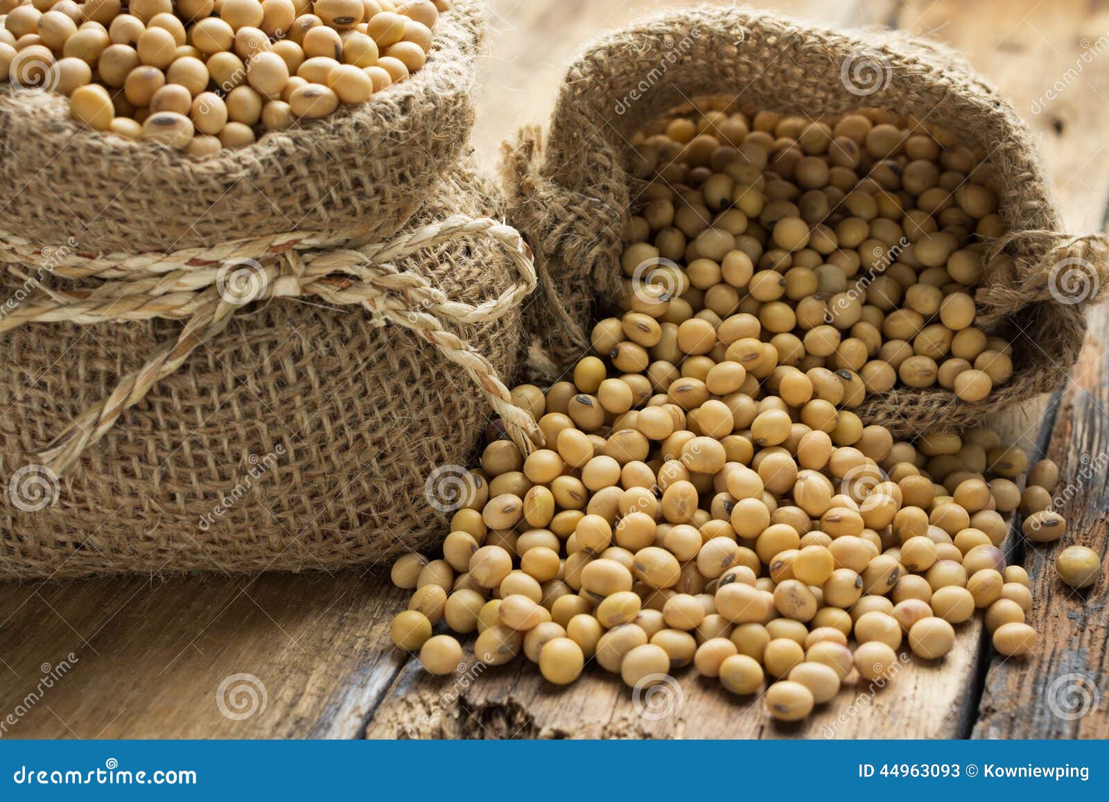 Mkd Dry Soybeans 30 Kg Black Bold Soybean Seed, For Agriculture, Packaging  Type: Bag at Rs 2700/bag in Neemuch