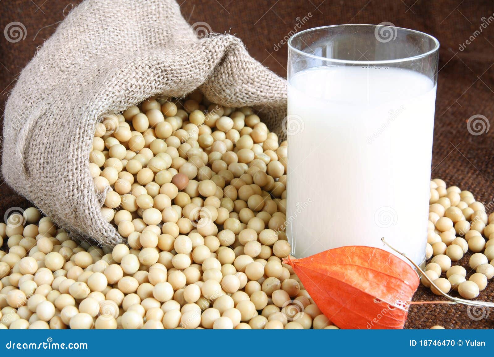 Soy Beans and Soy Milk stock photo. Image of food, soybean 18746470