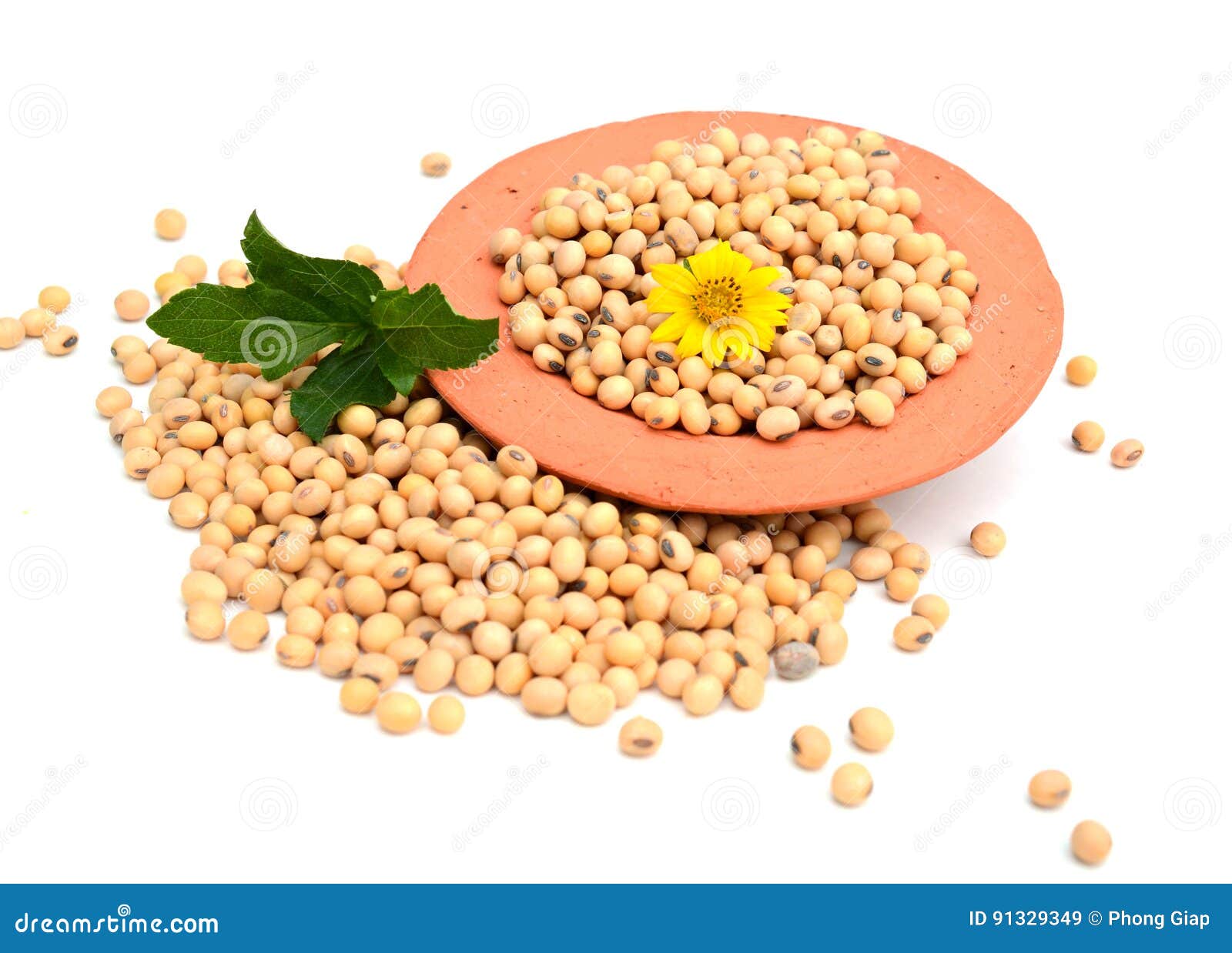 Soy beans stock image. Image of white, nutrition, background 91329349