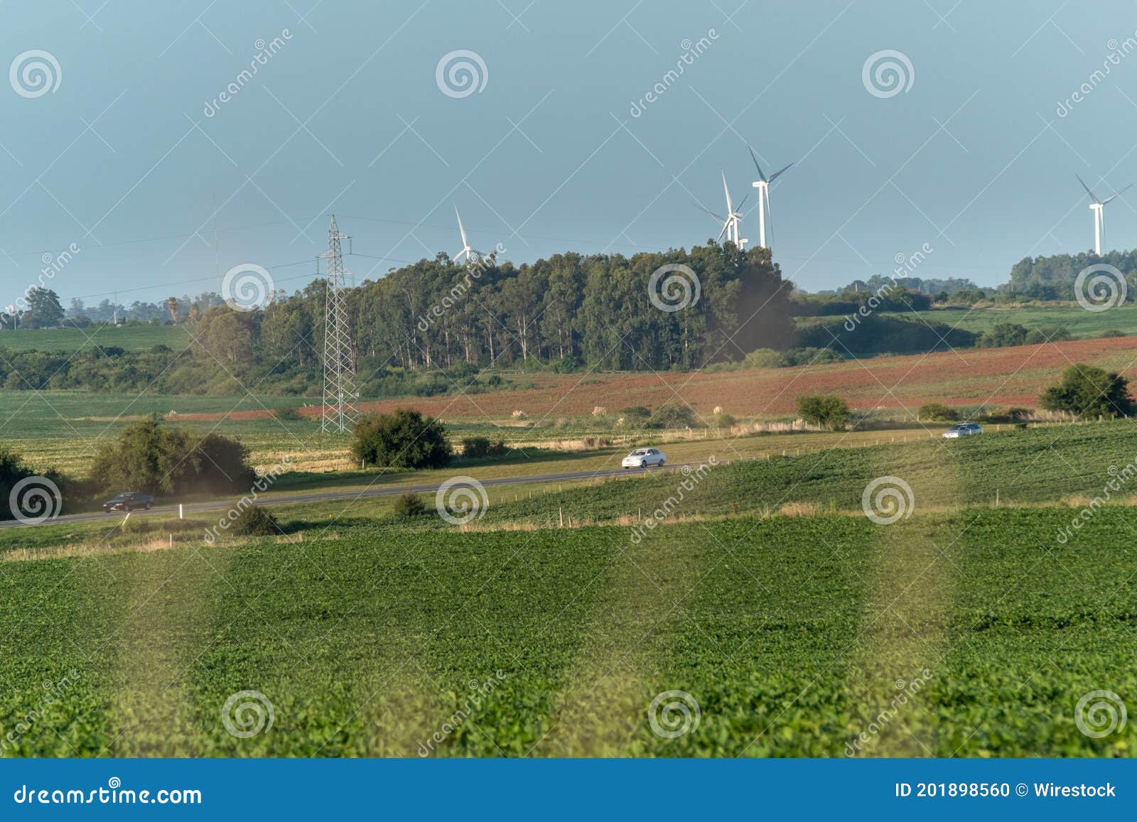 countryside with some soy fields plantations on the foreground