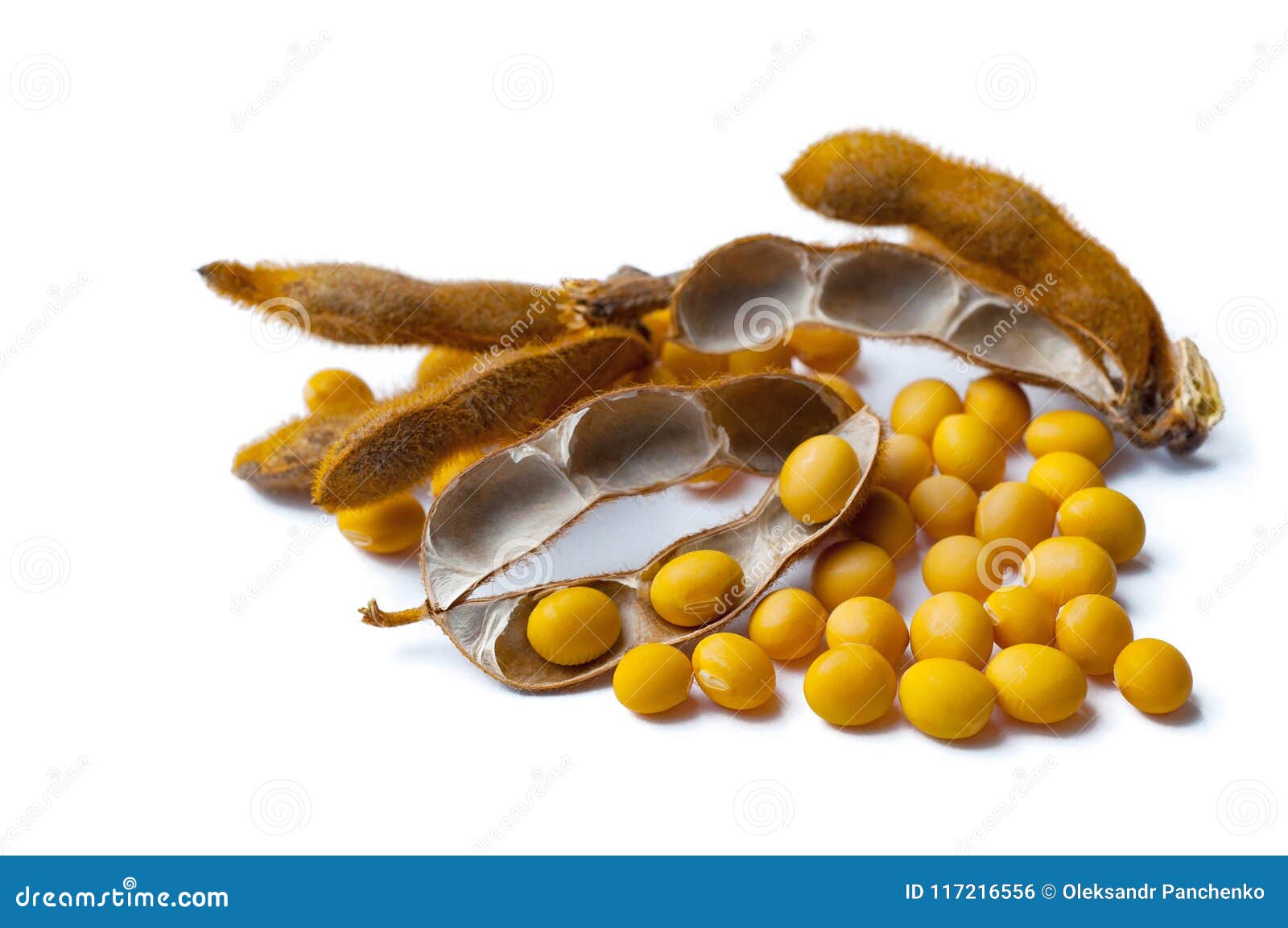 Soy and Soybeans on a White Stock Photo - Image of industry, plant ...