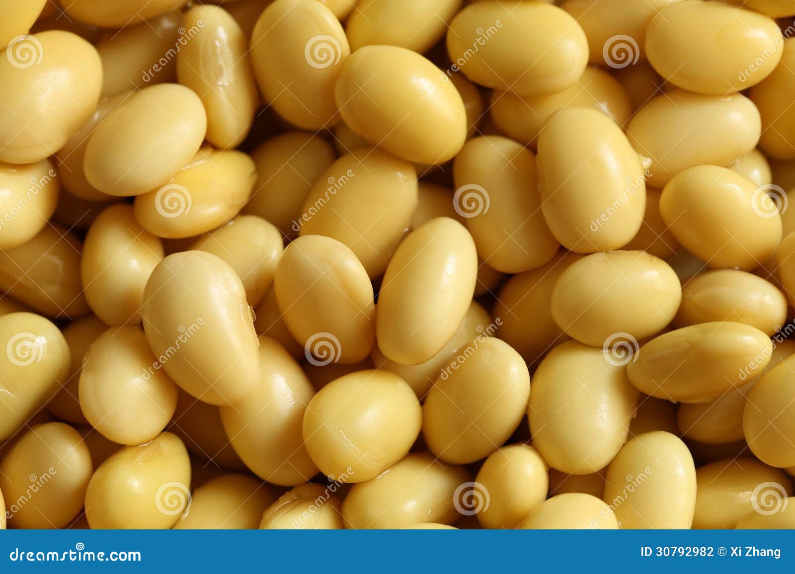 Soya Bean stock photo. Image of vegetable, organic, food 30792982