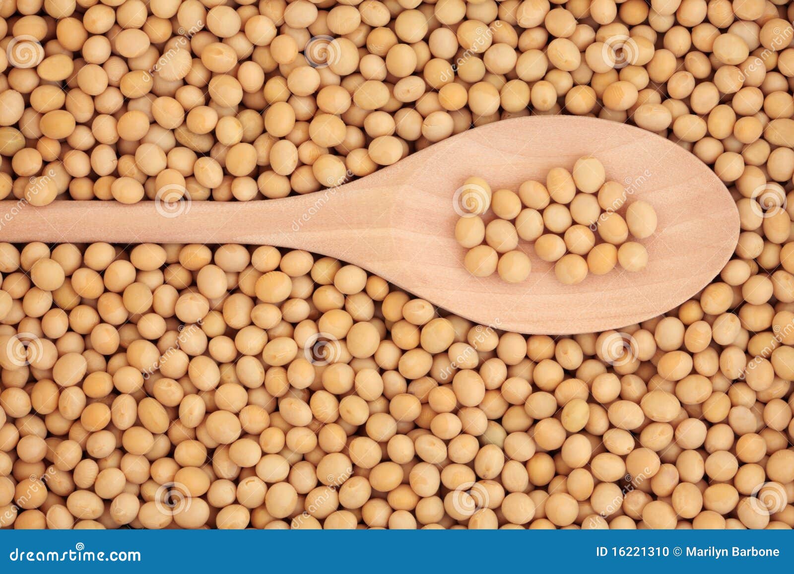 soya beans